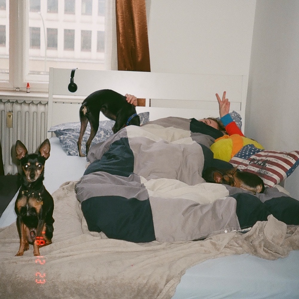 image-12