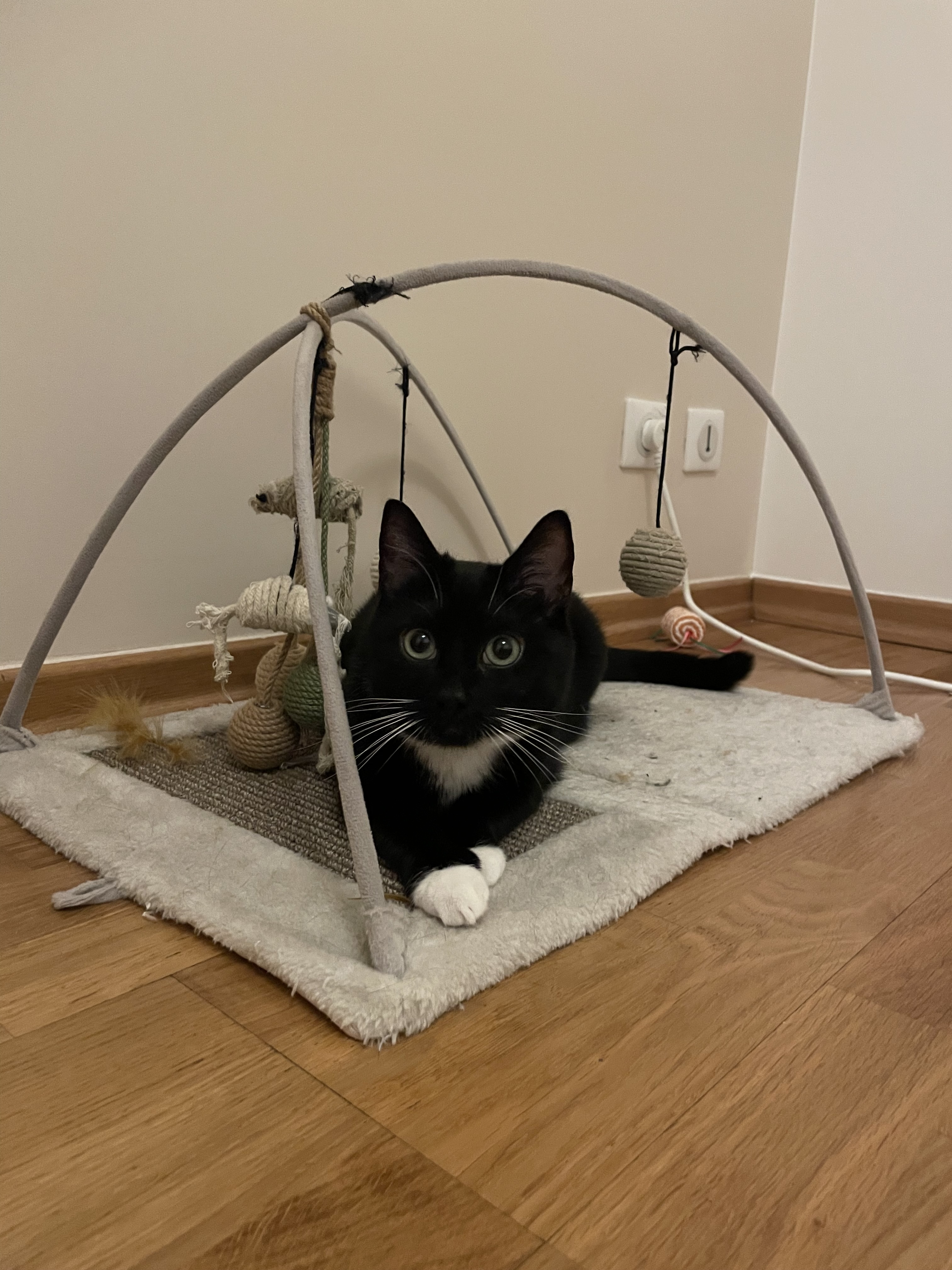 image-6