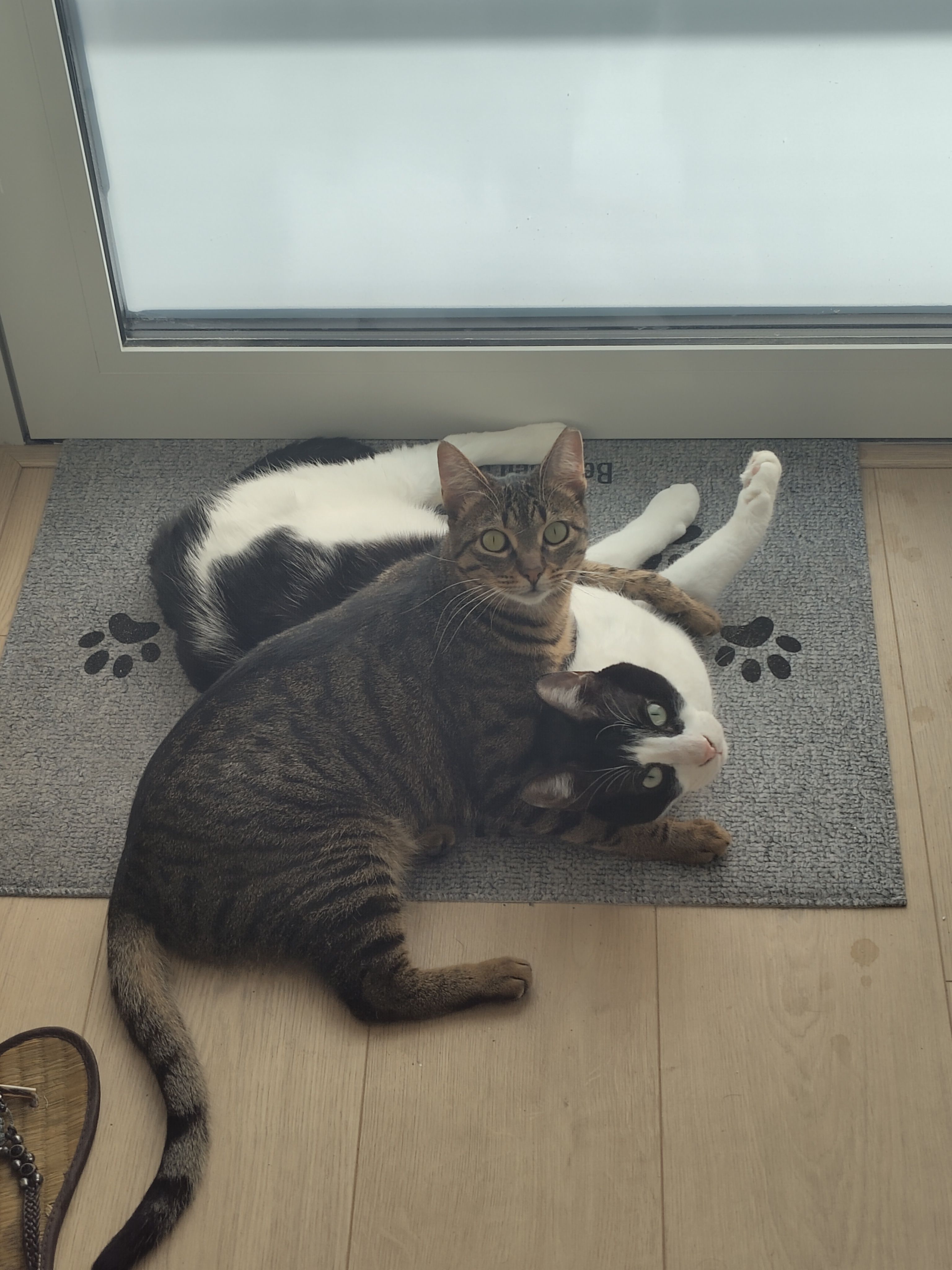 image-6