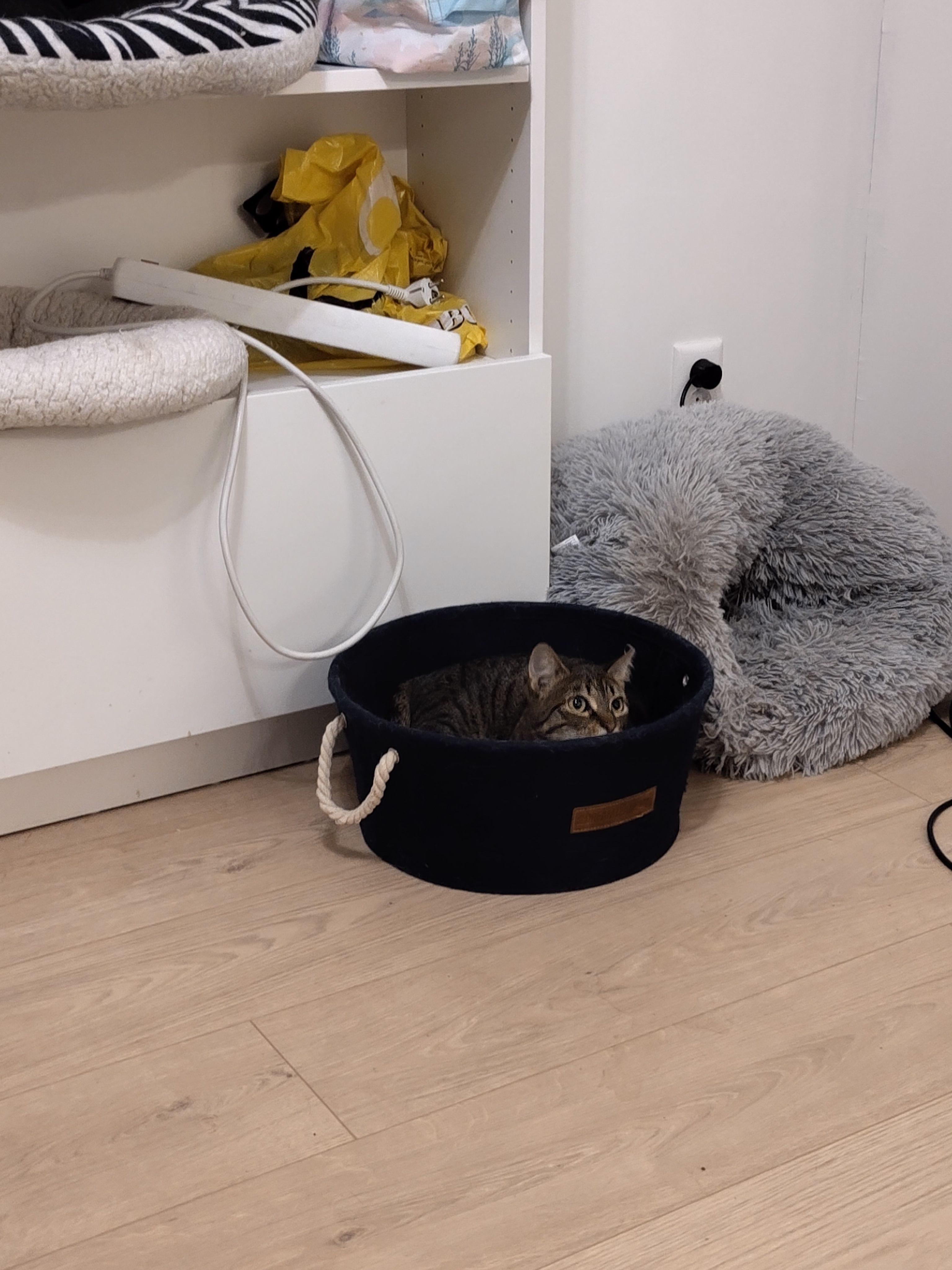 image-9