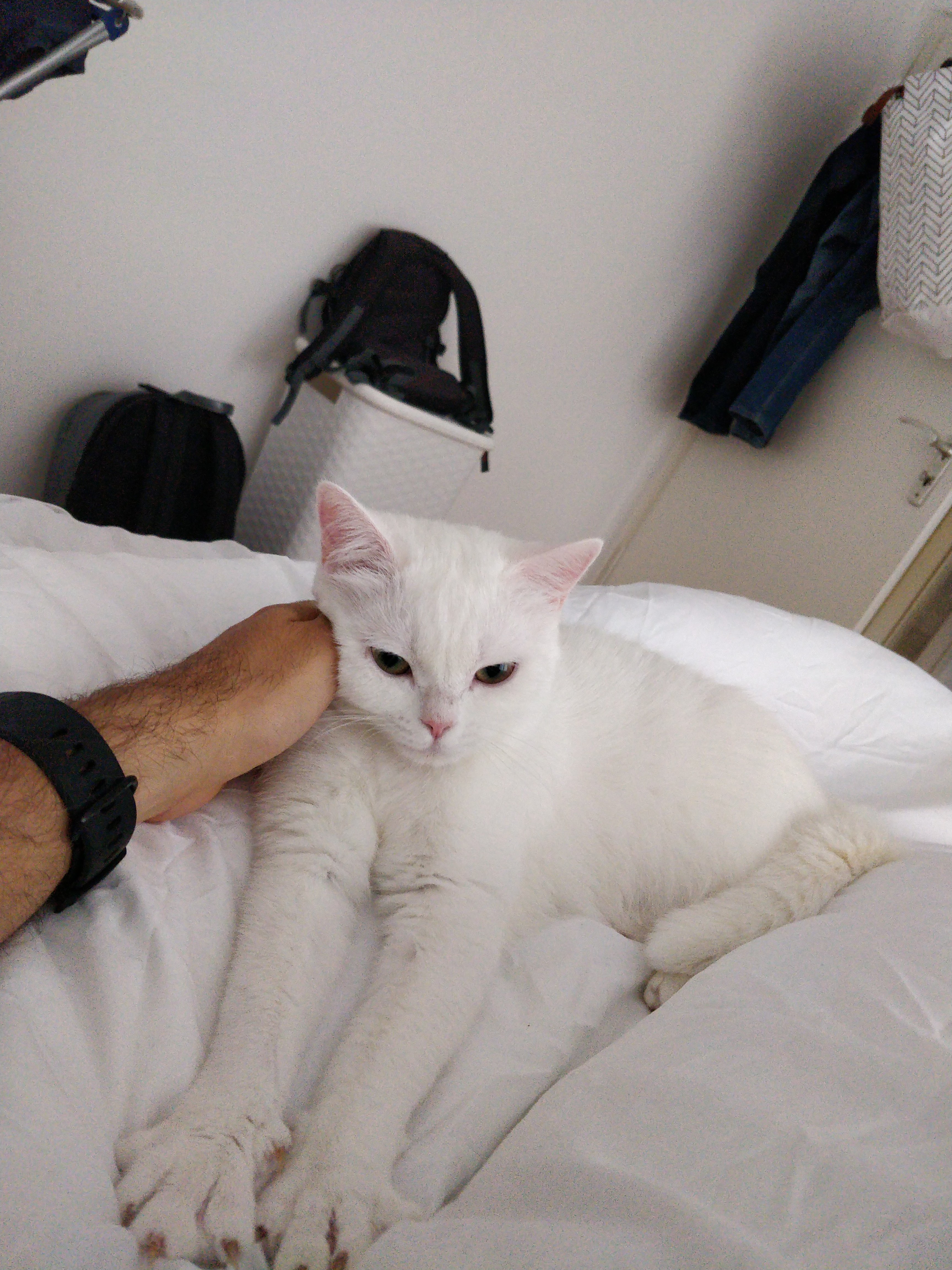 image-10