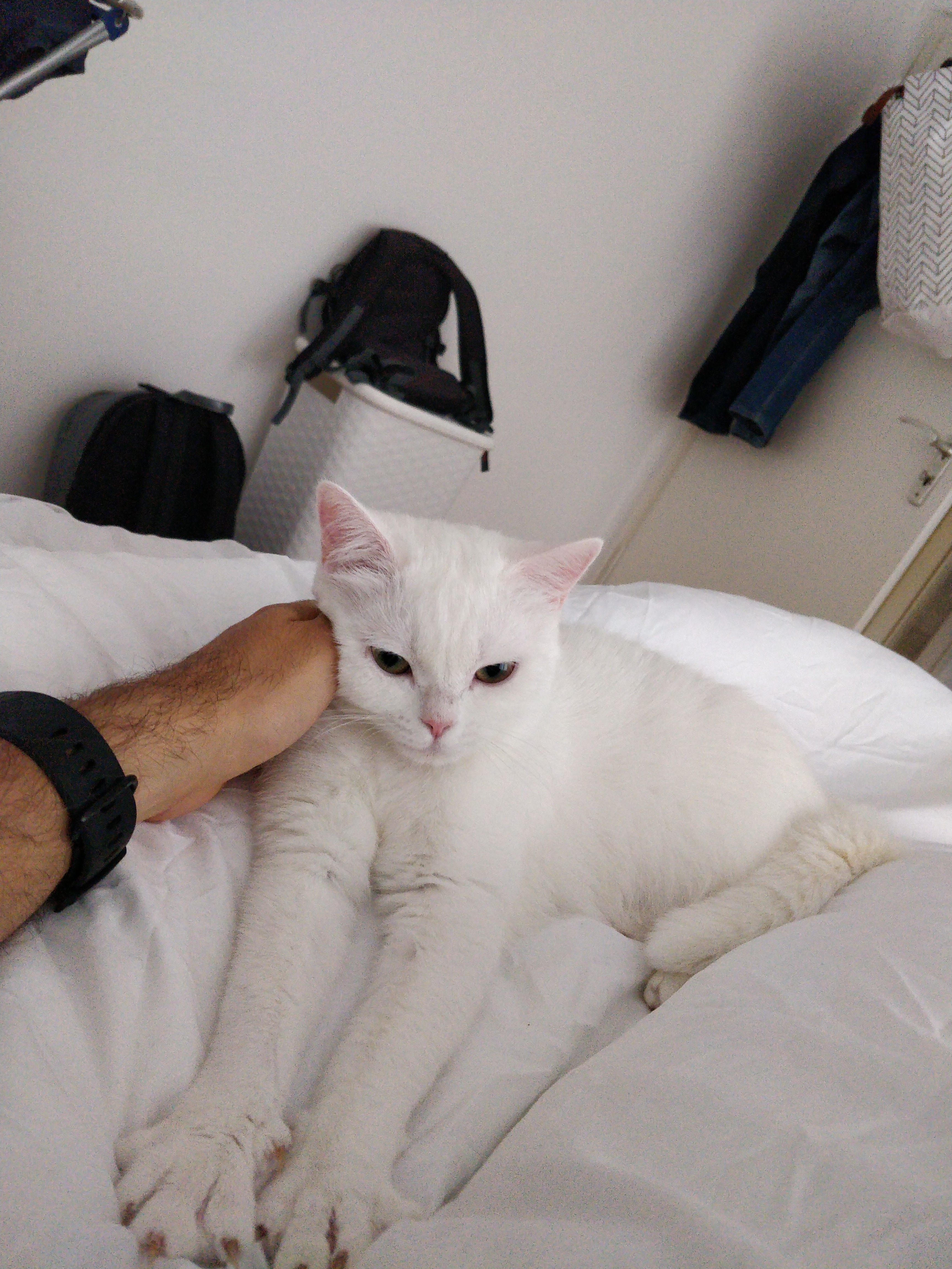 image-10