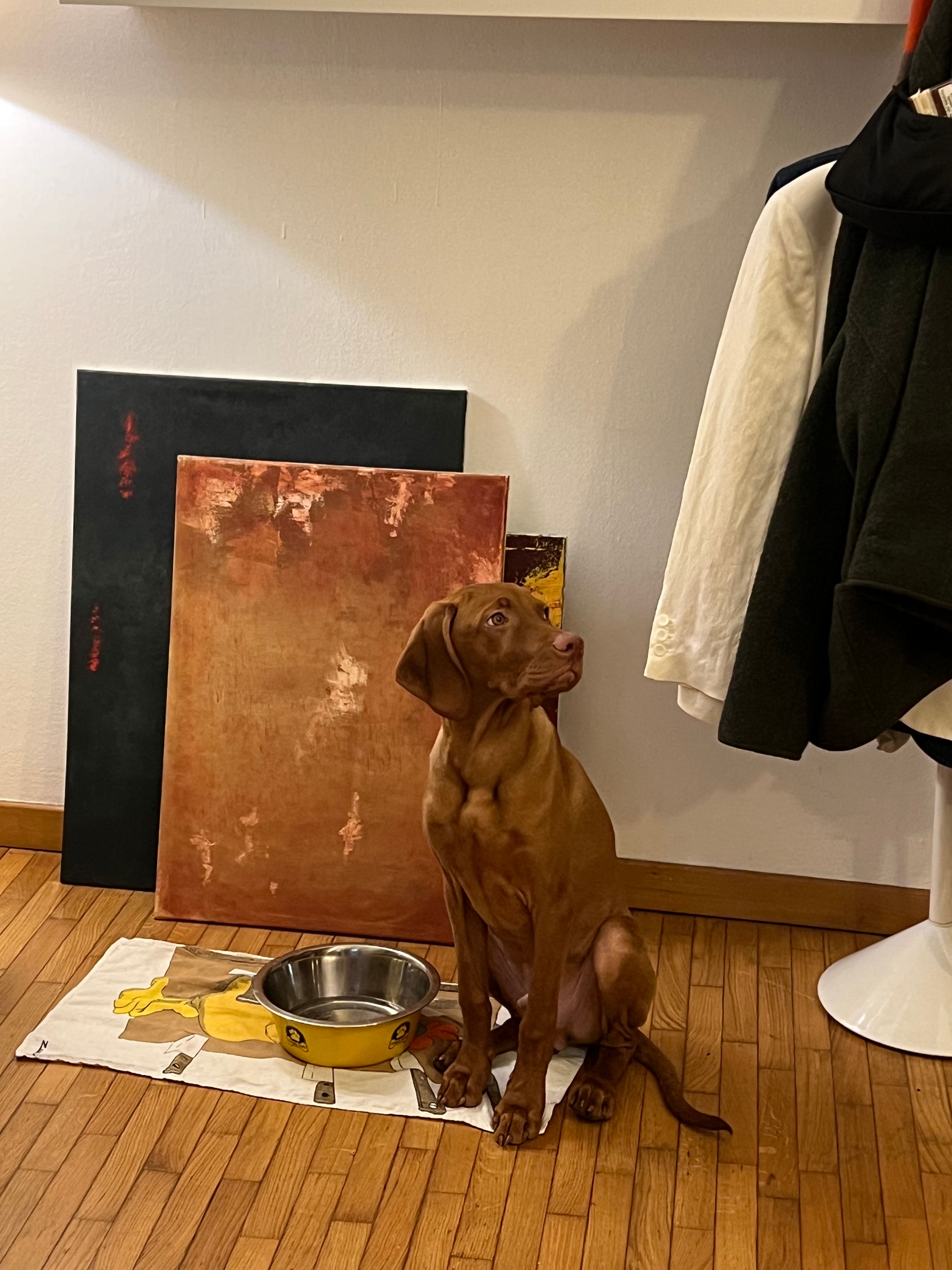 image-6