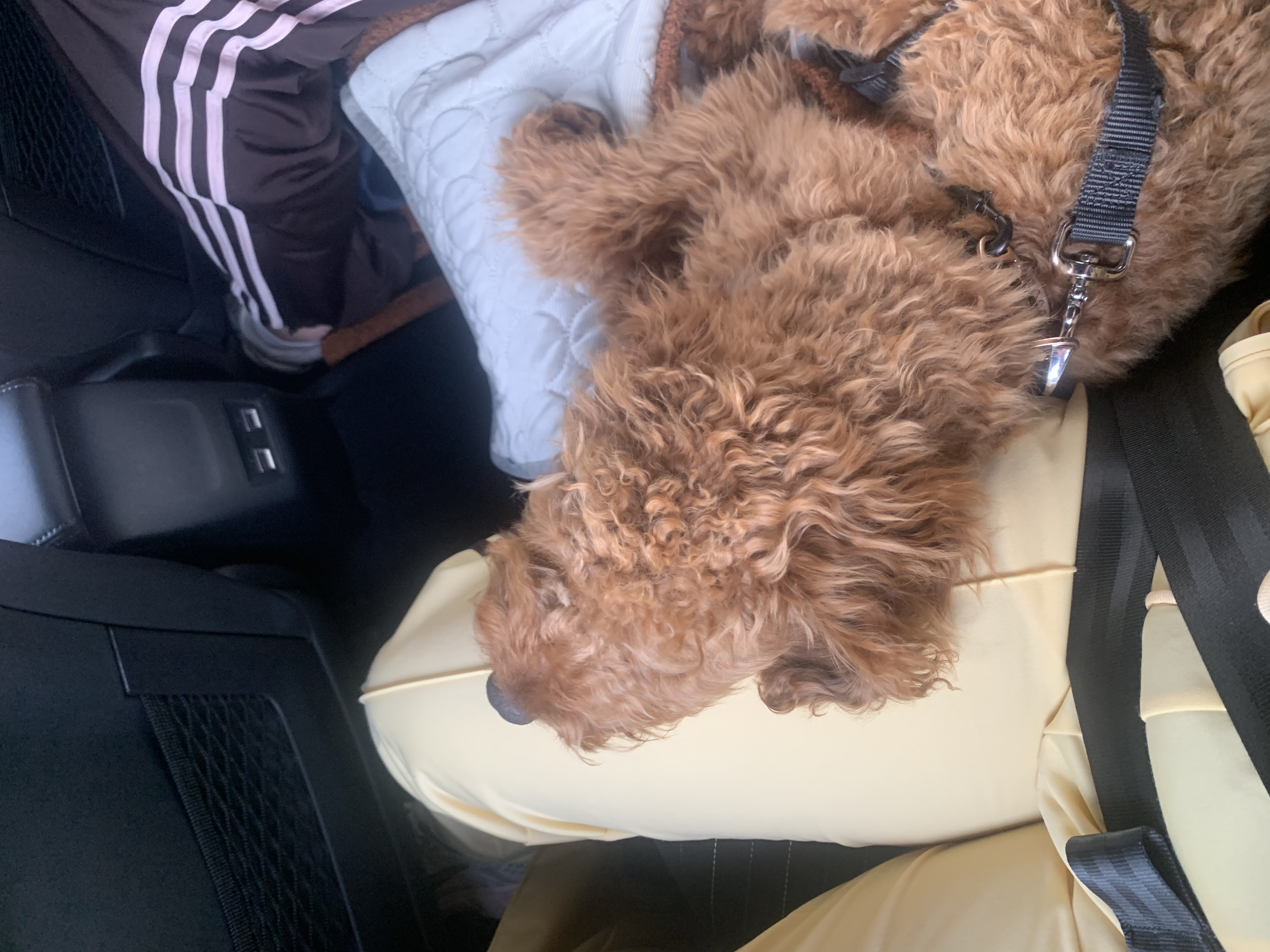 image-6