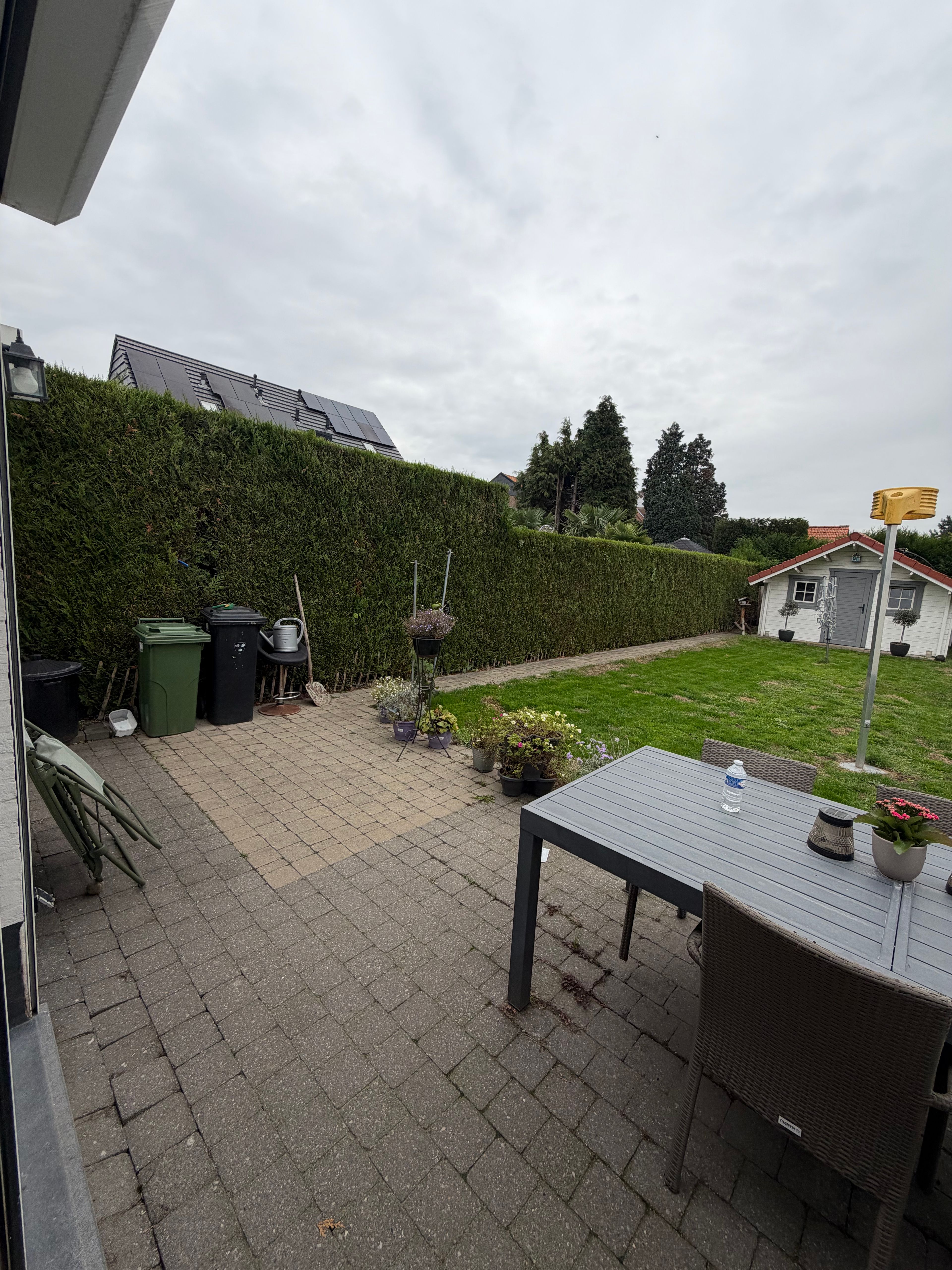 image-16