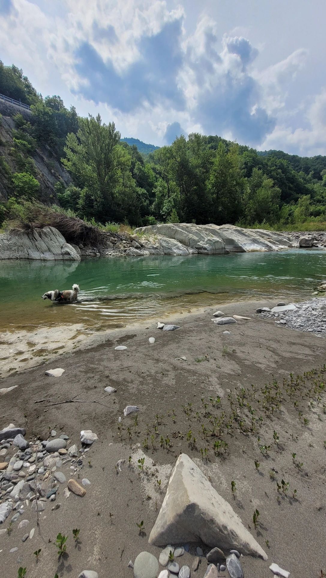 image-12