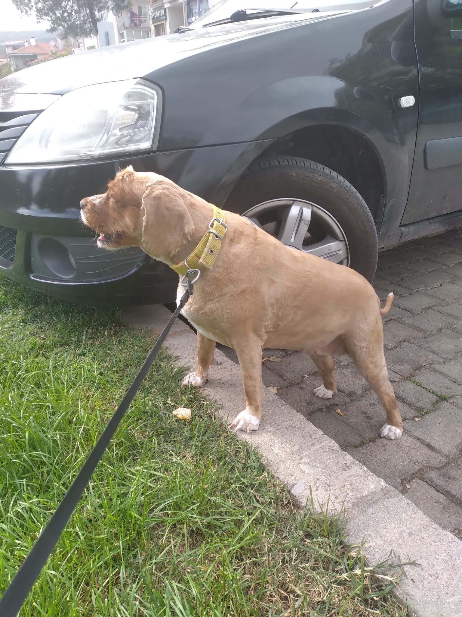 image-5