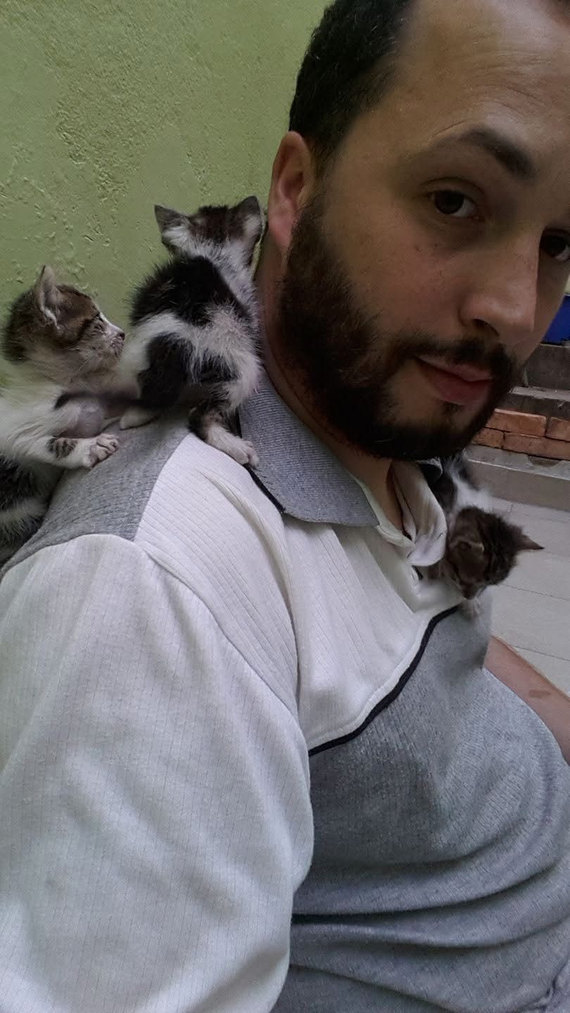 image-6
