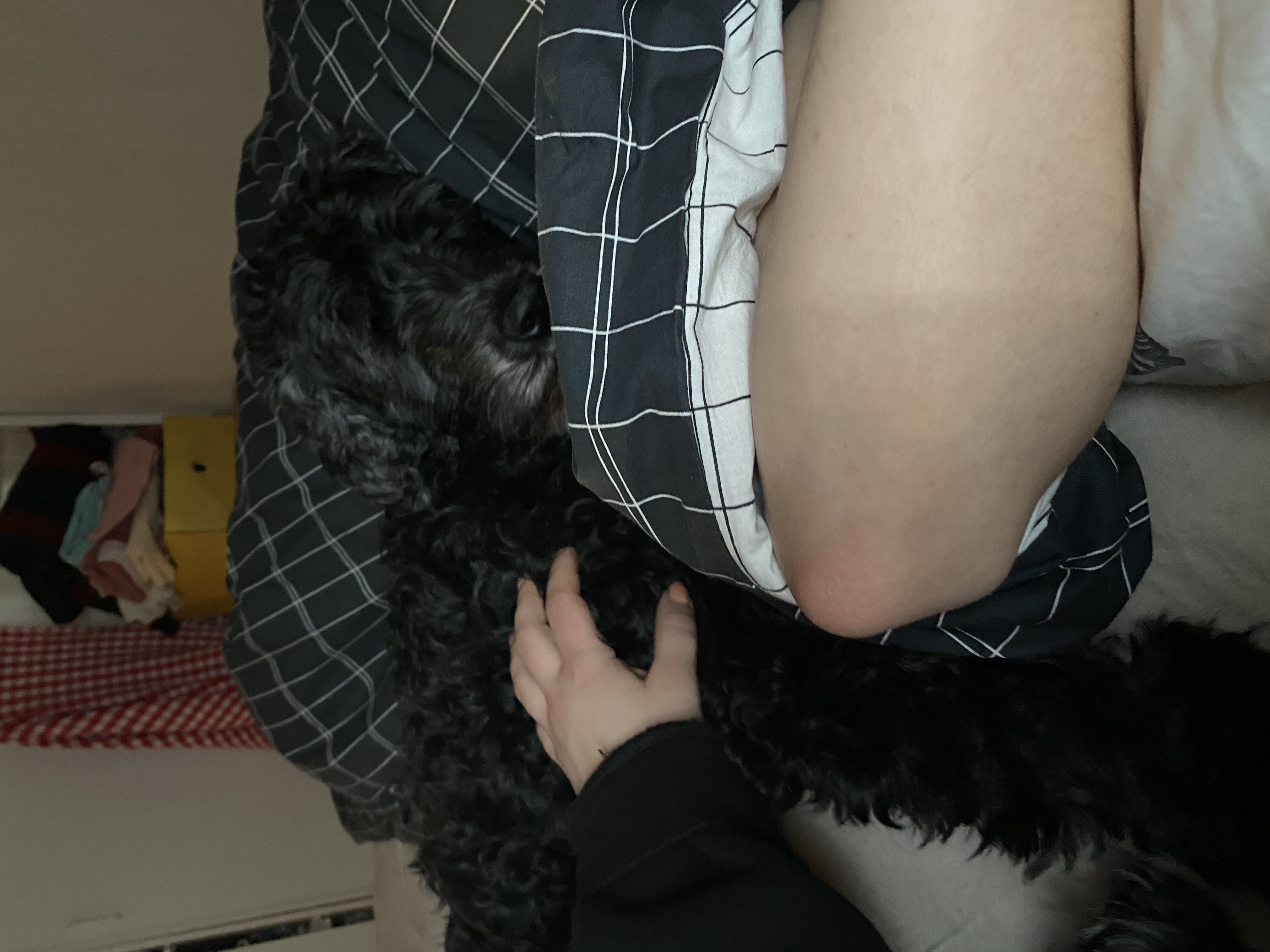image-3