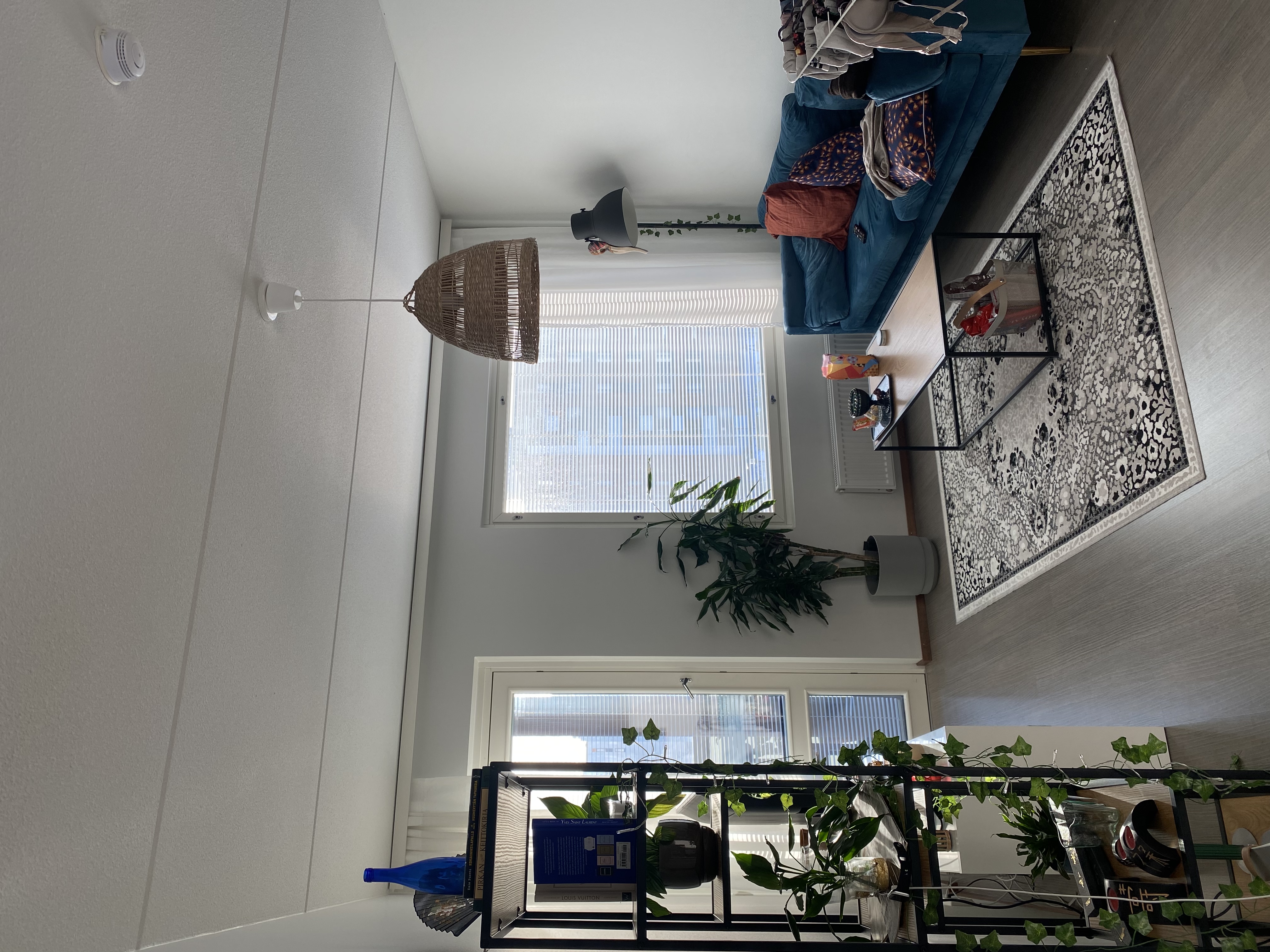 image-9