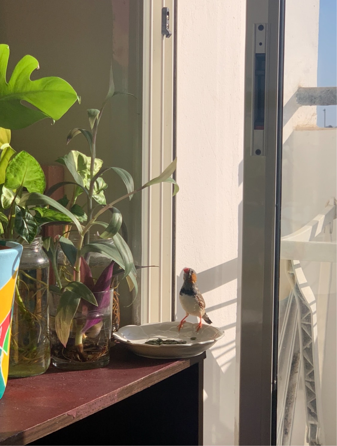 image-4
