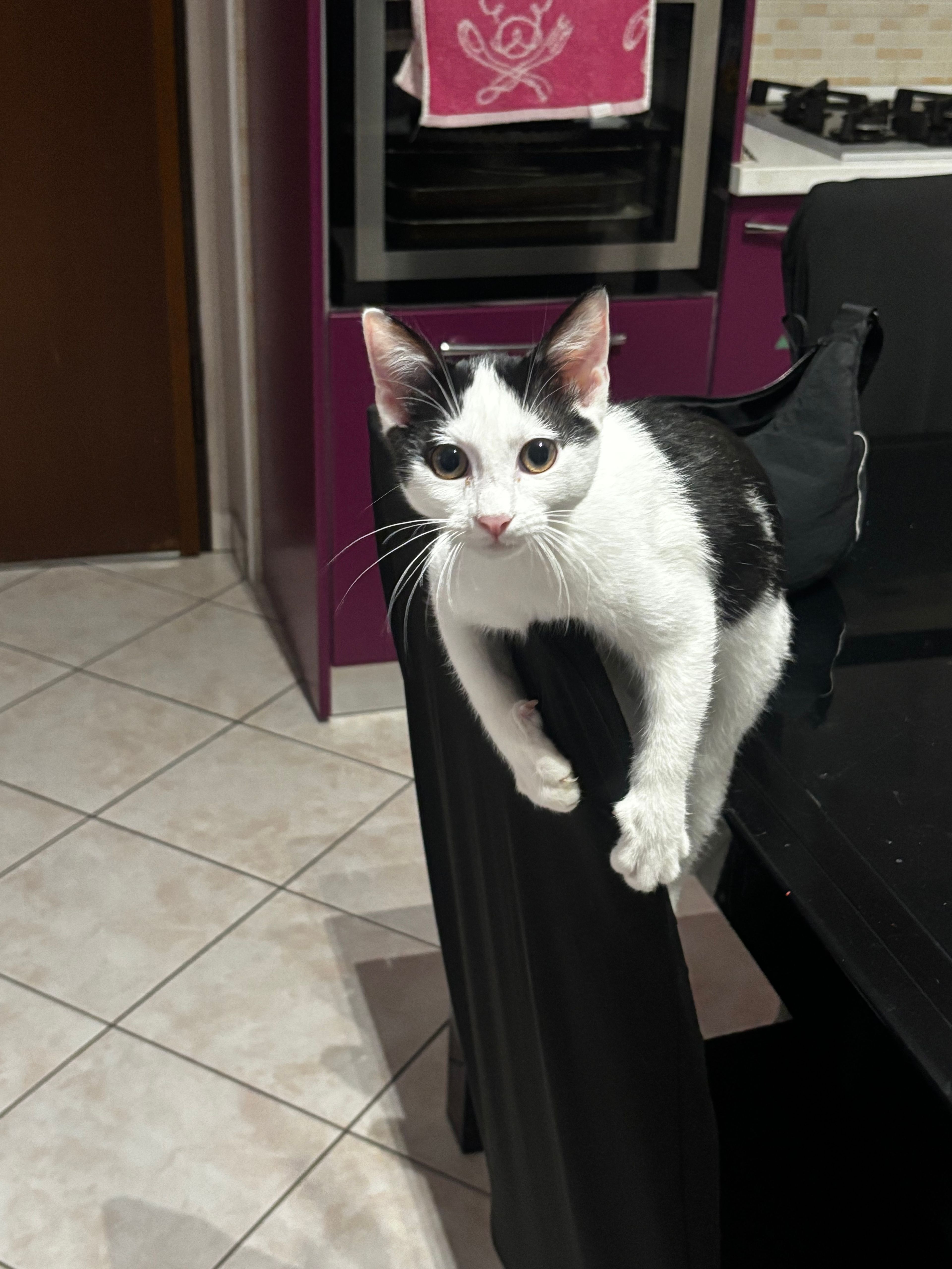 image-10