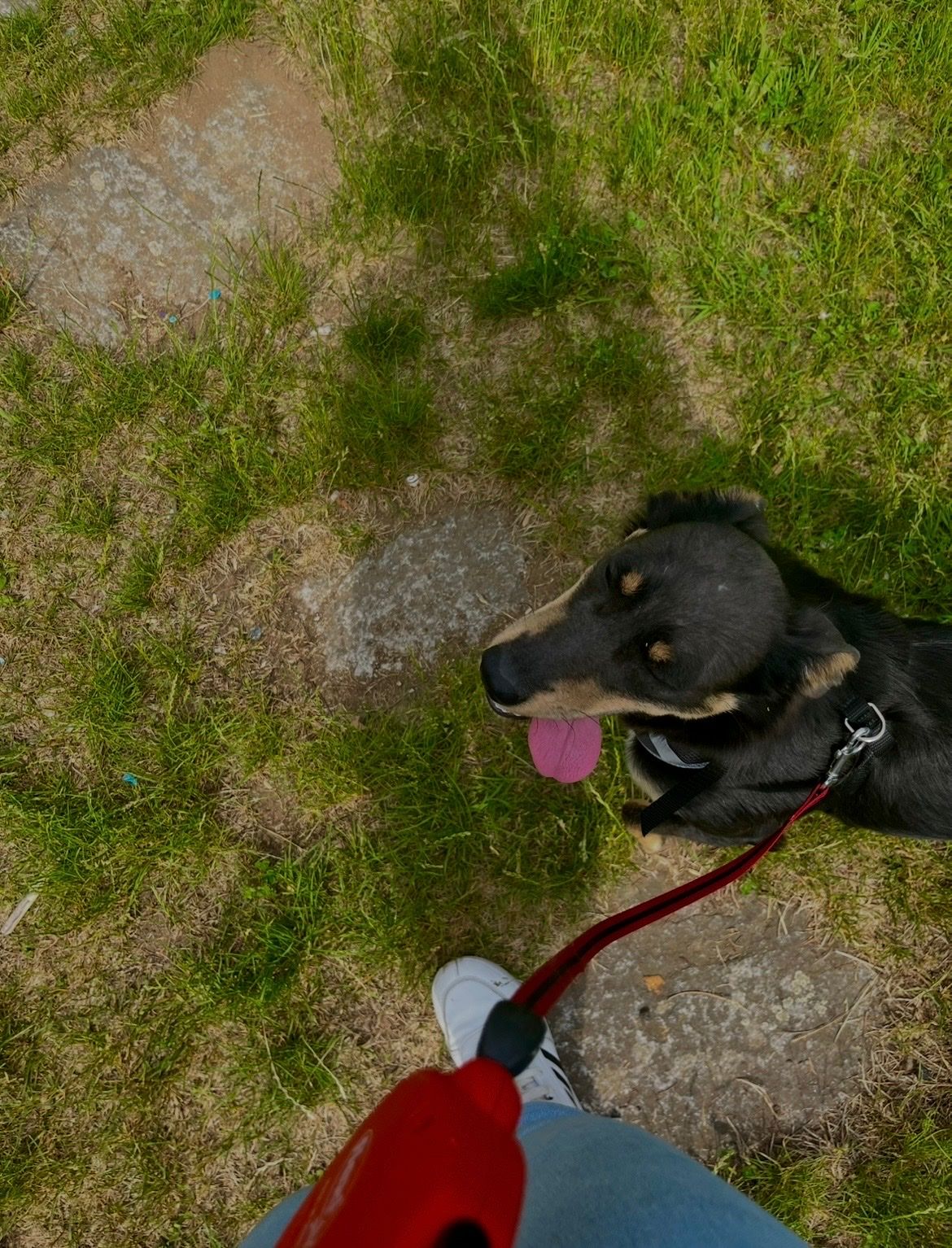 image-10