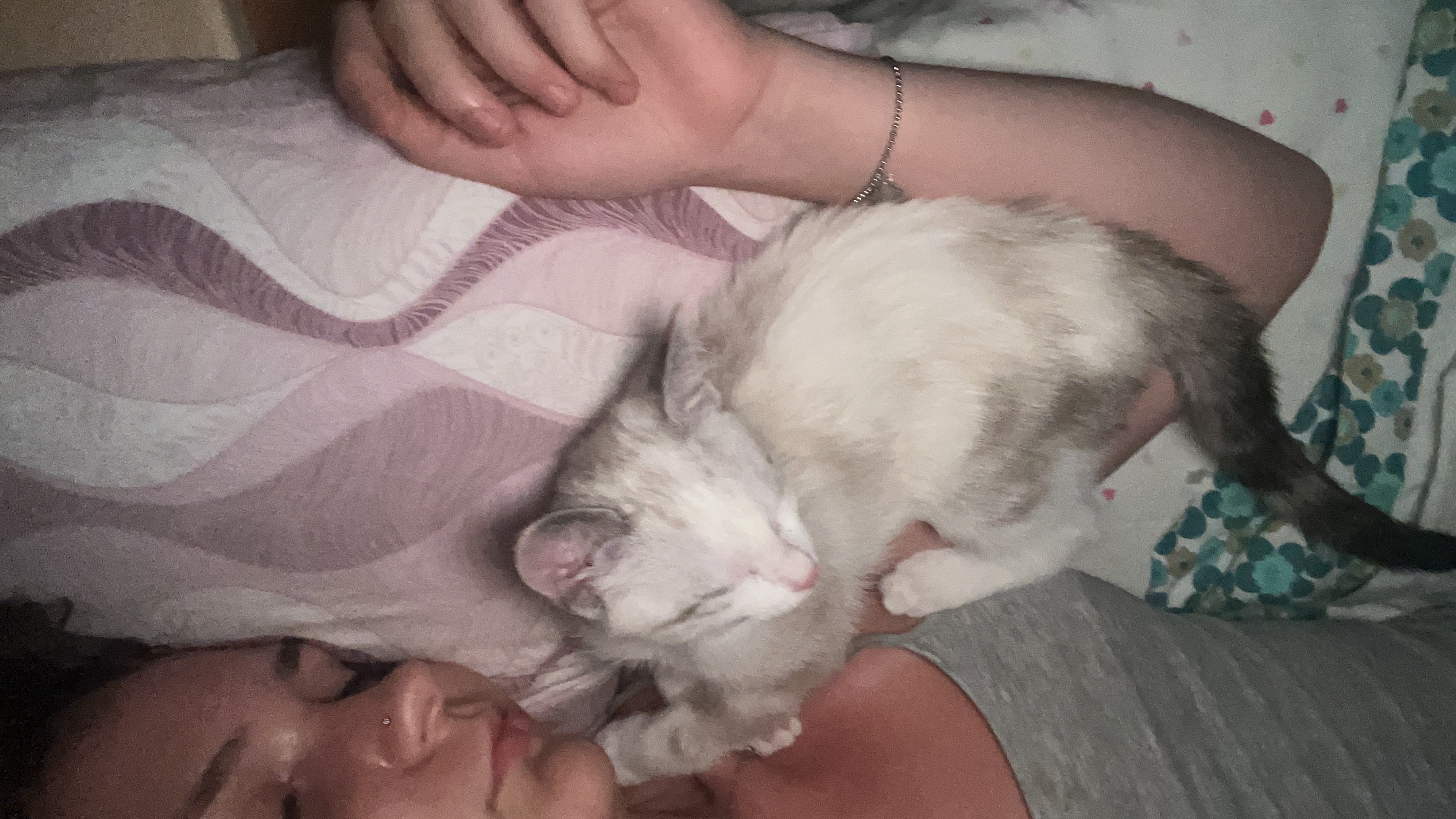 image-7