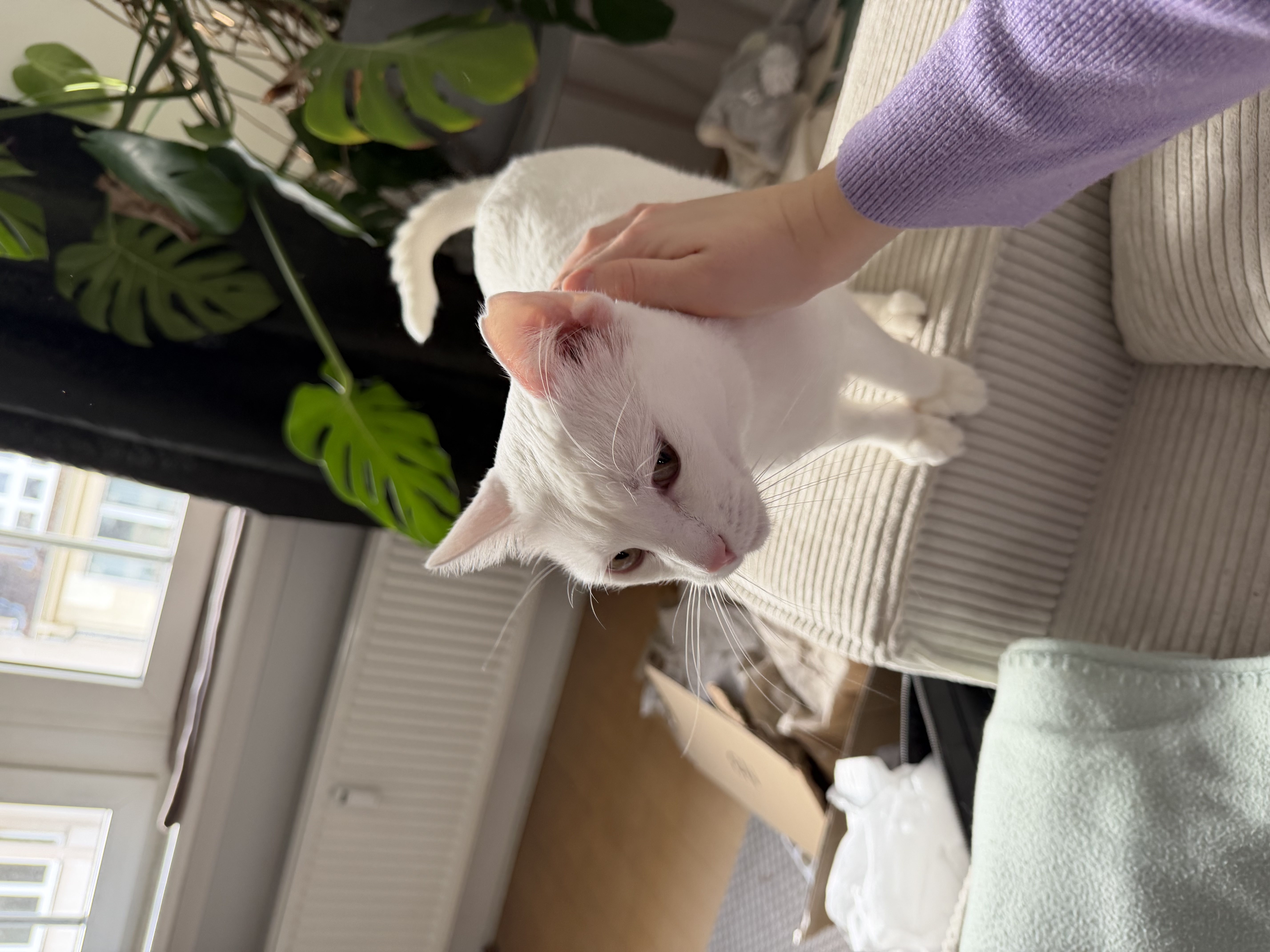 image-10