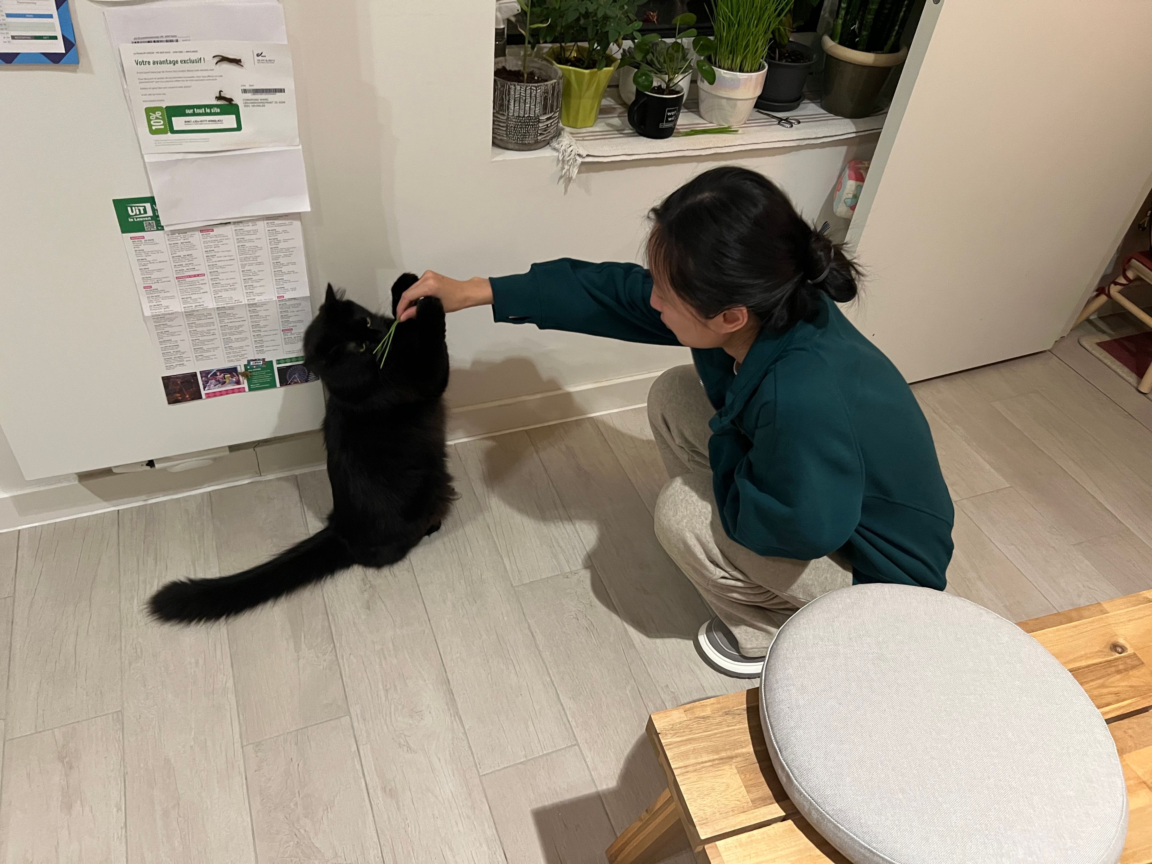 image-17