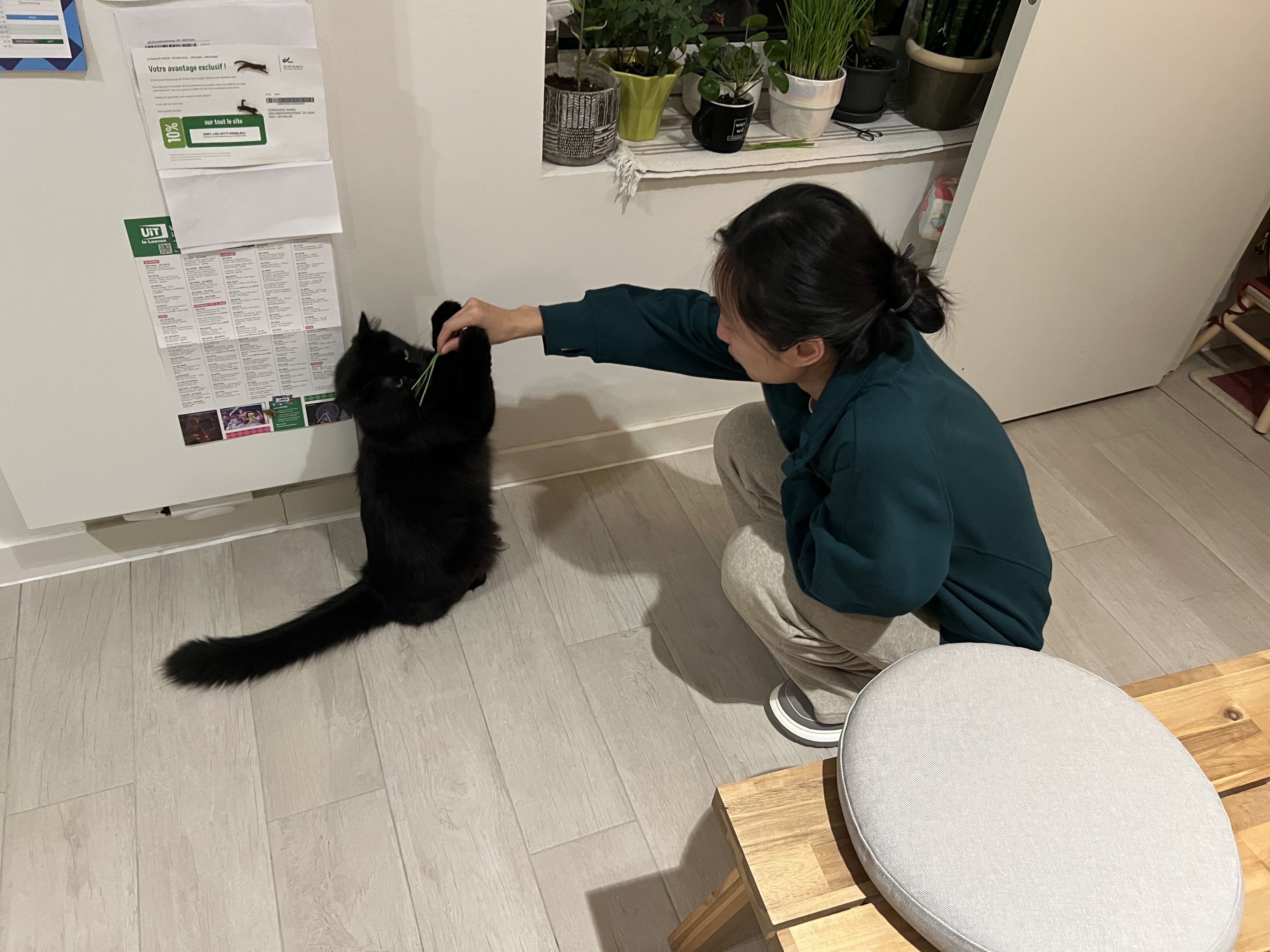 image-13