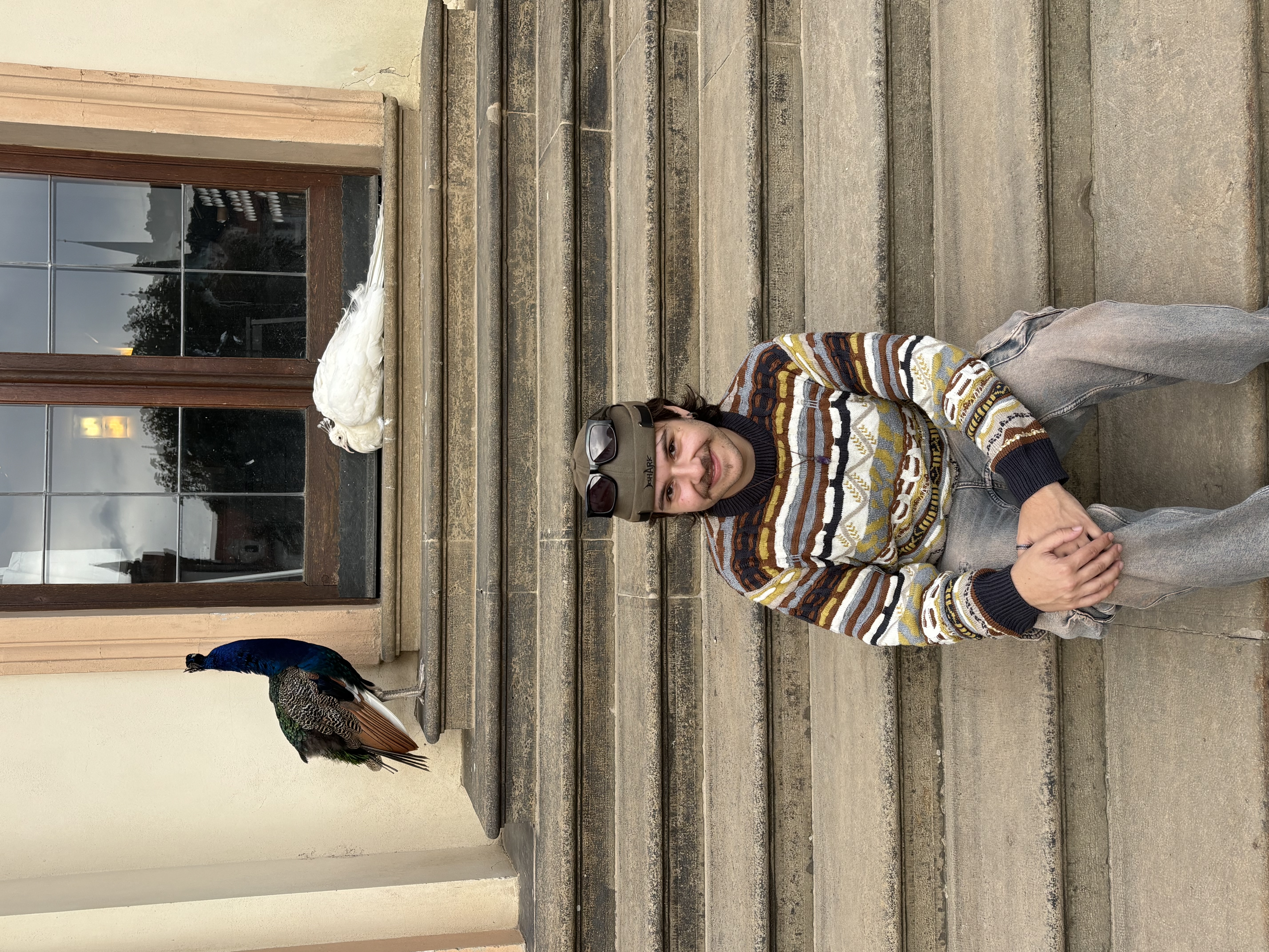 image-3