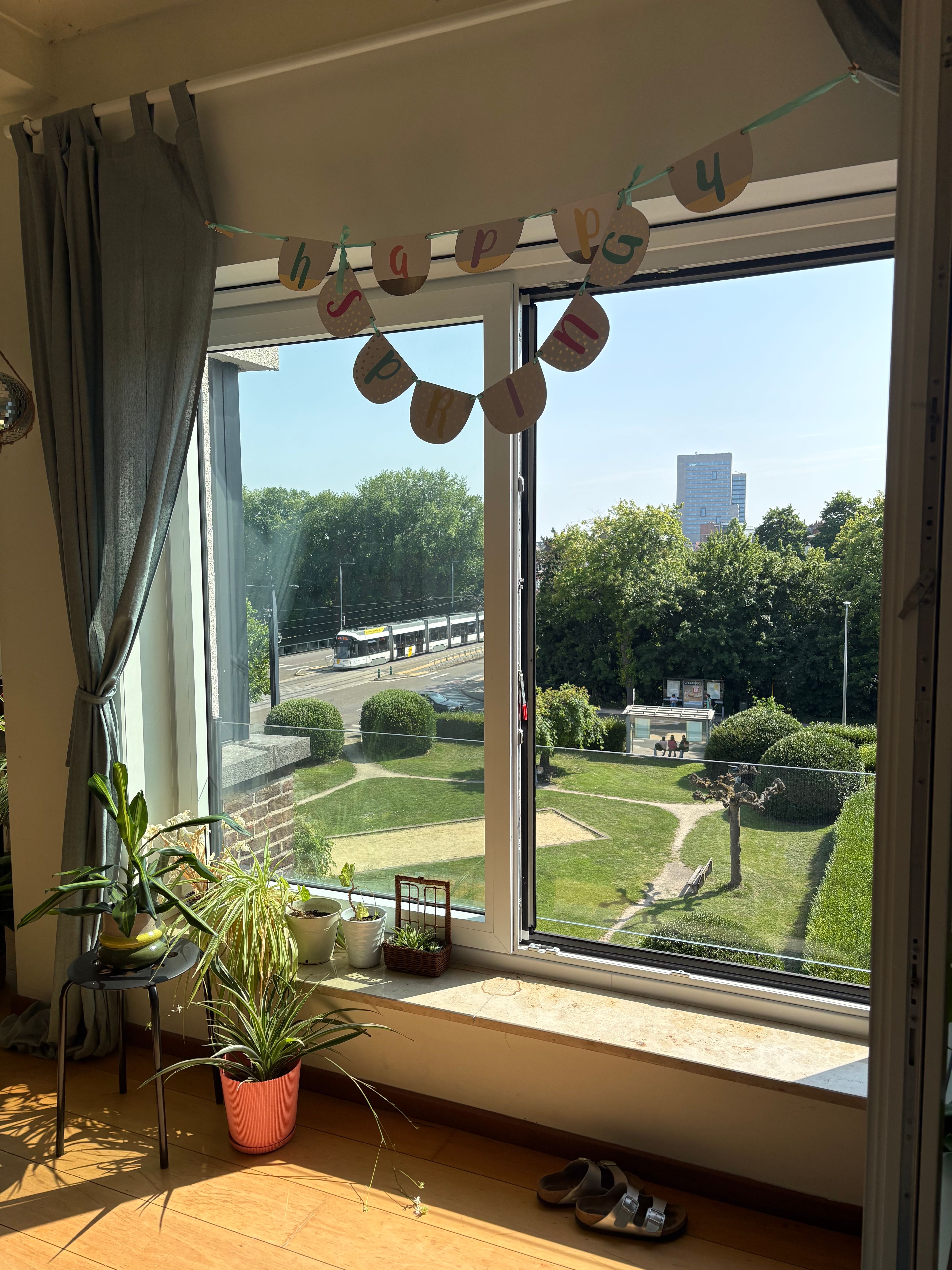 image-12