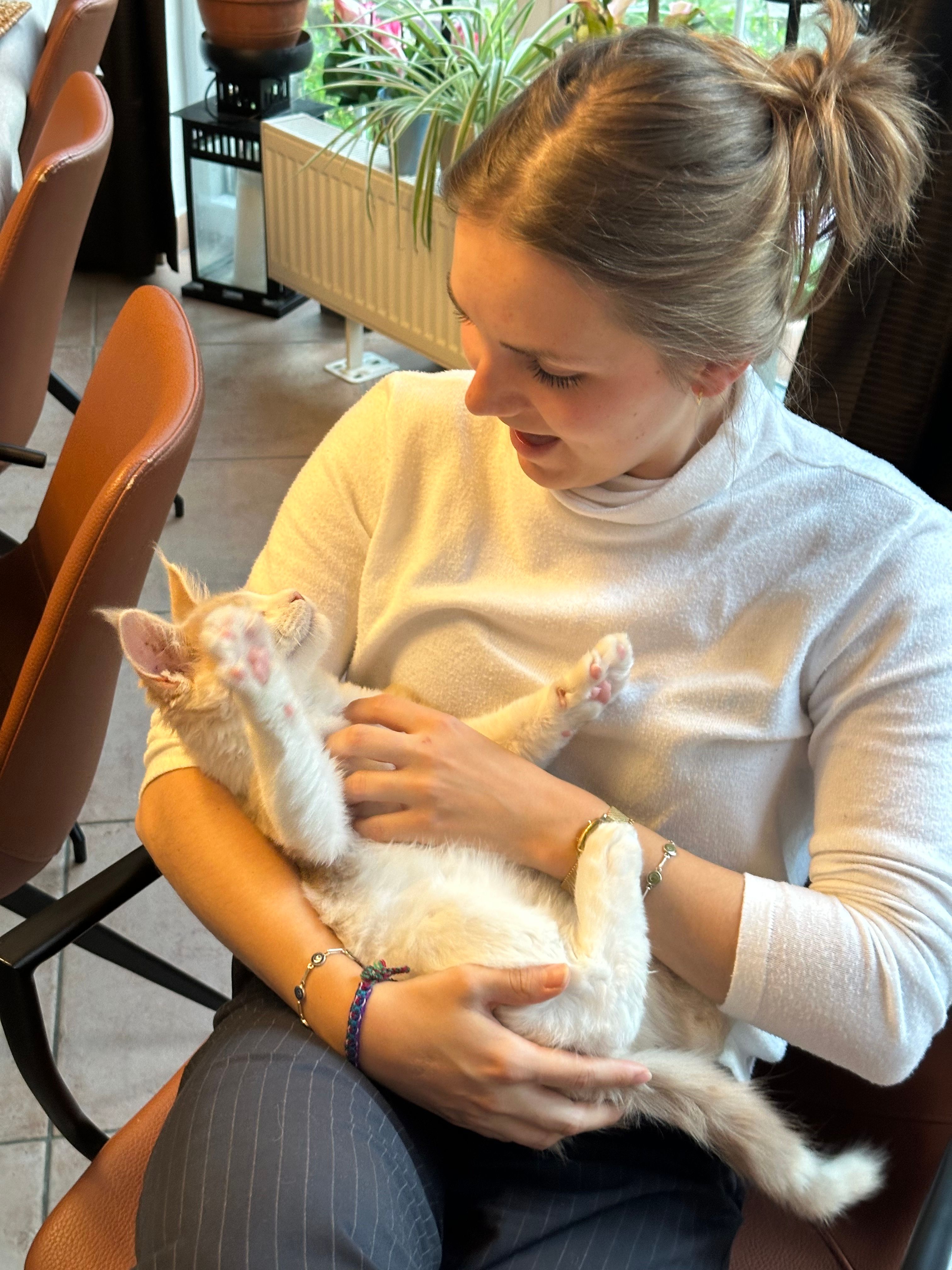 image-3