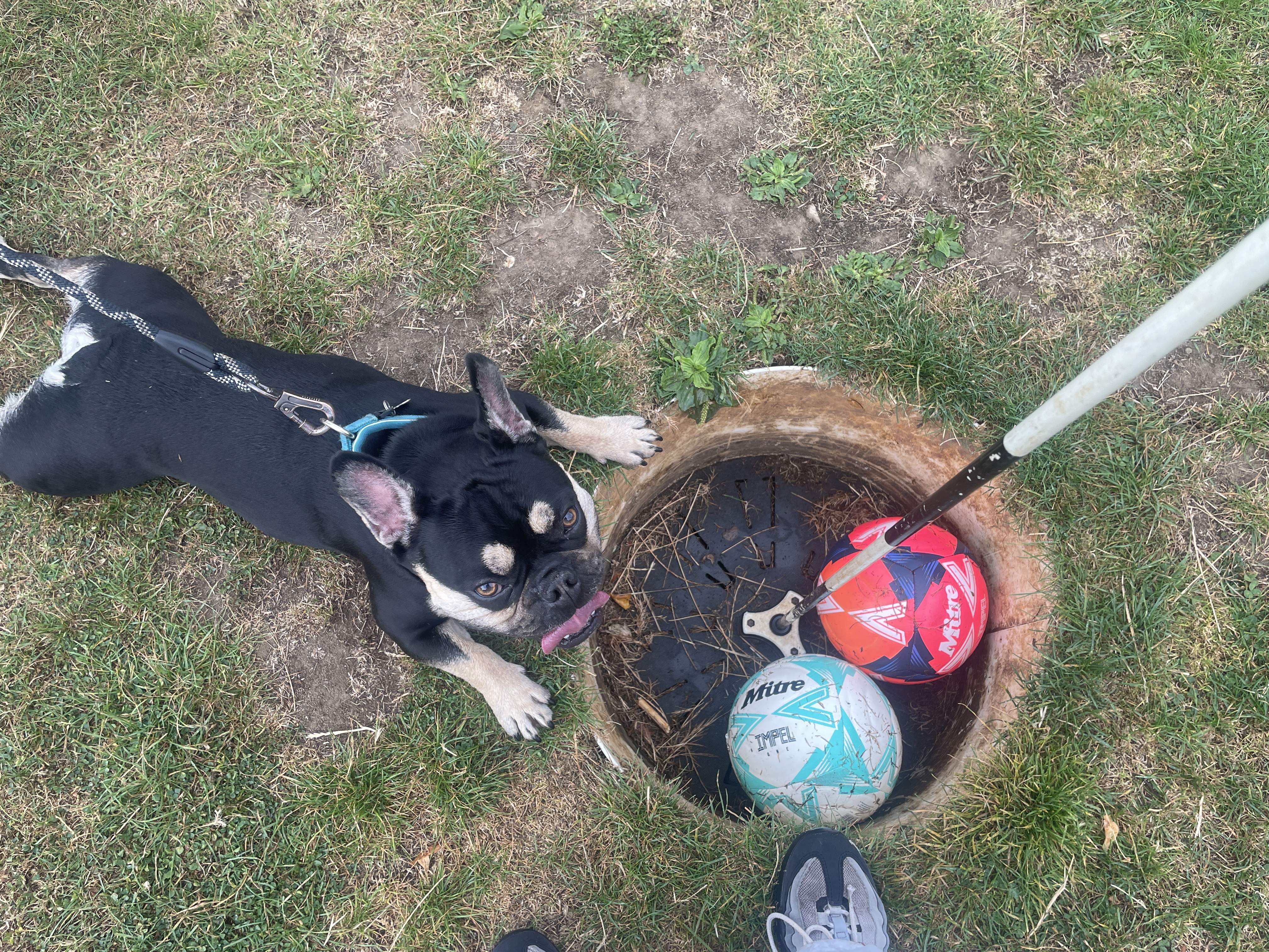image-6