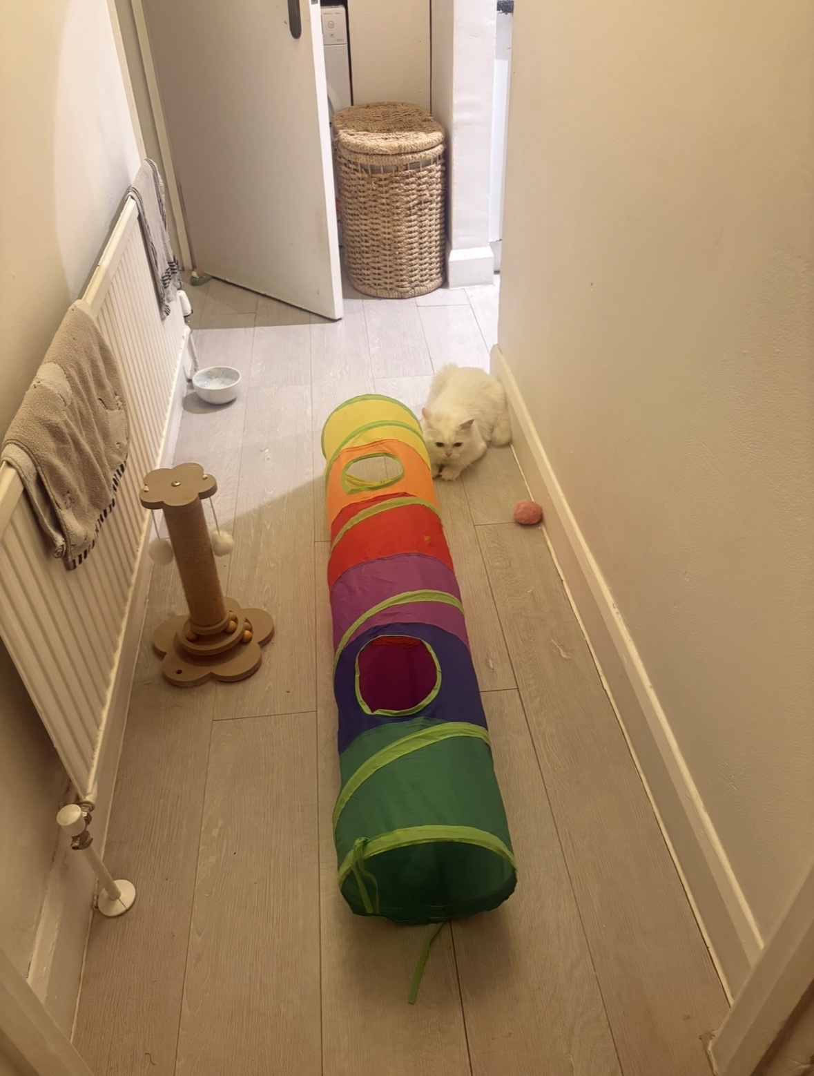 image-15
