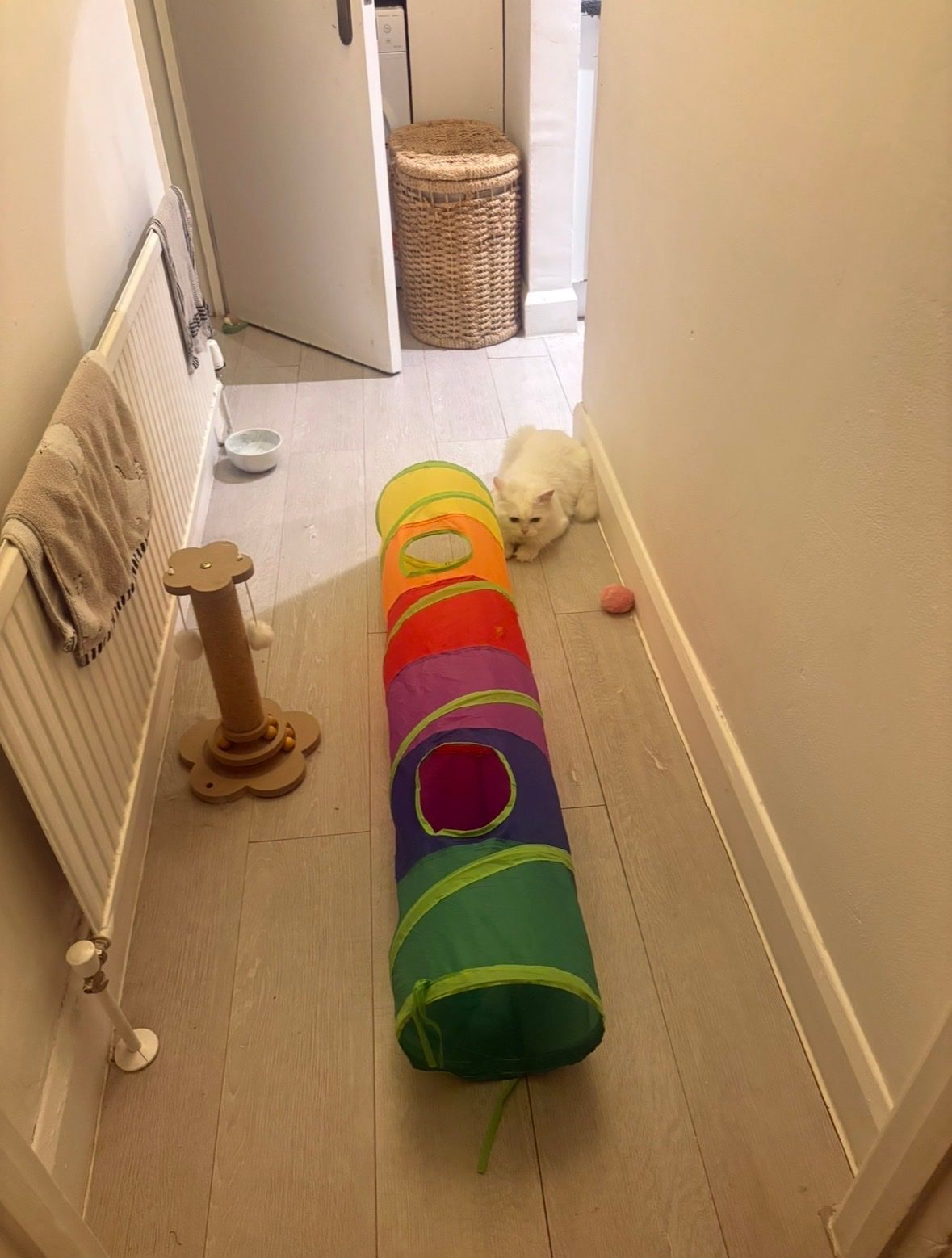 image-15