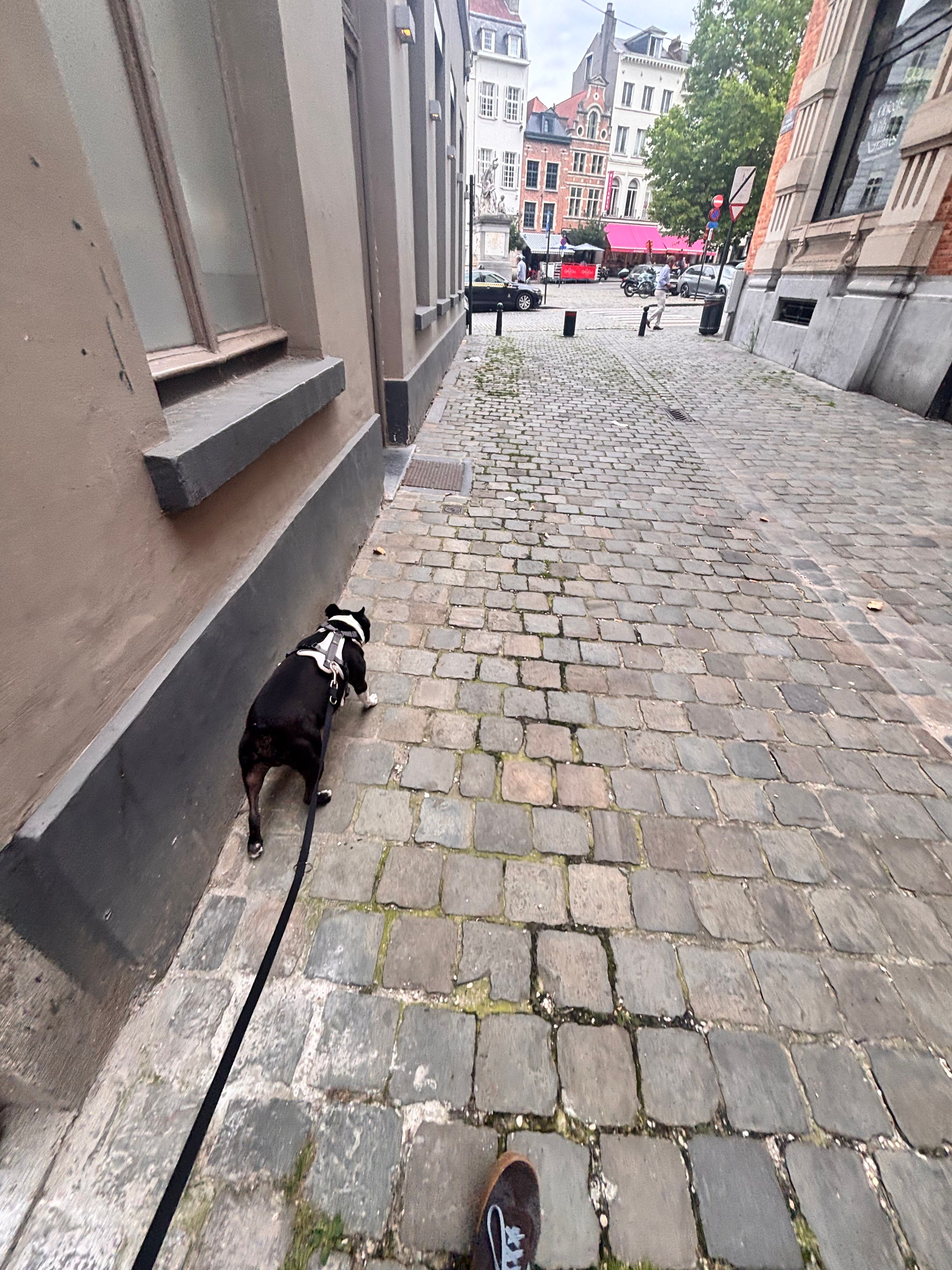 image-13