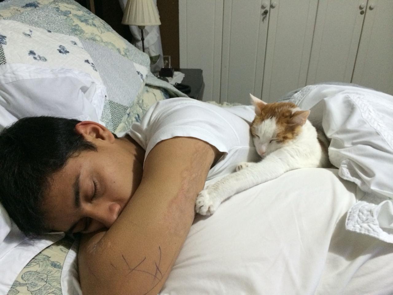 image-7