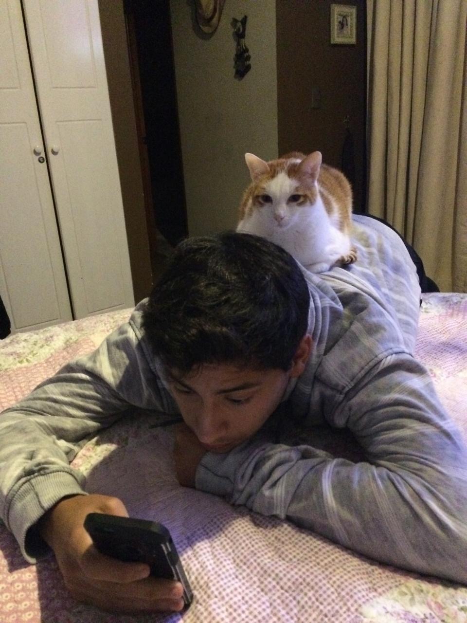 image-8
