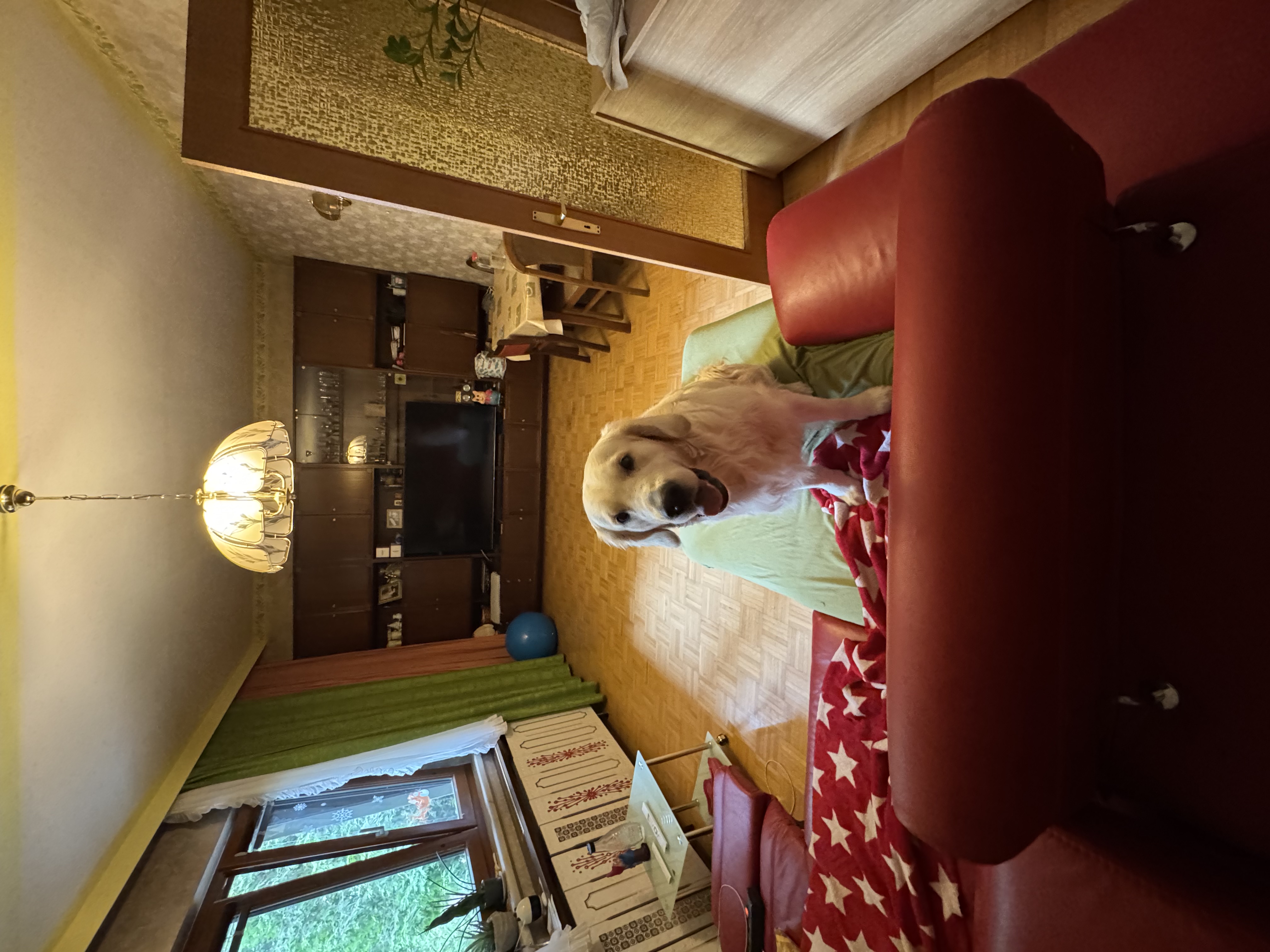 image-16