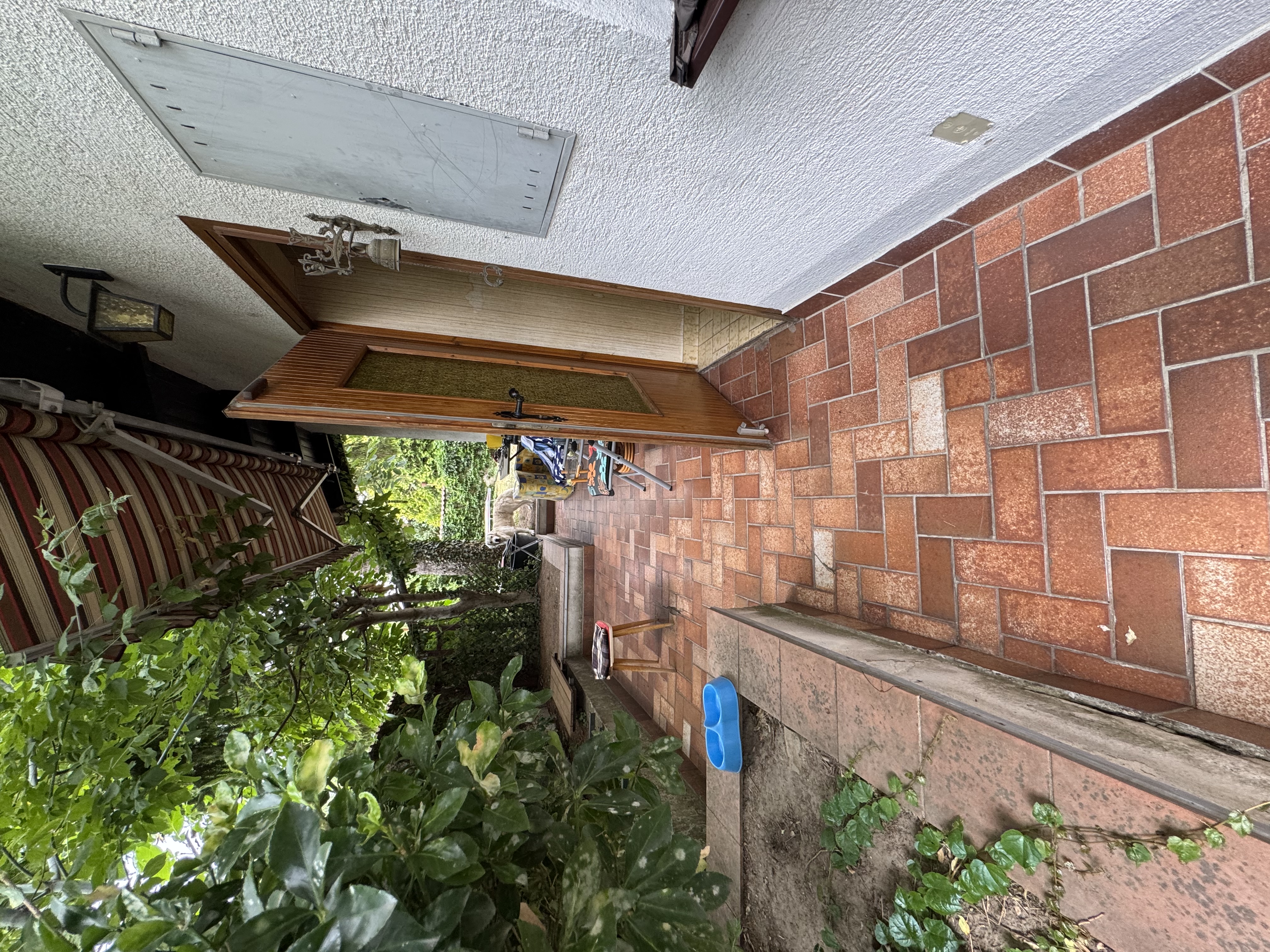 image-20