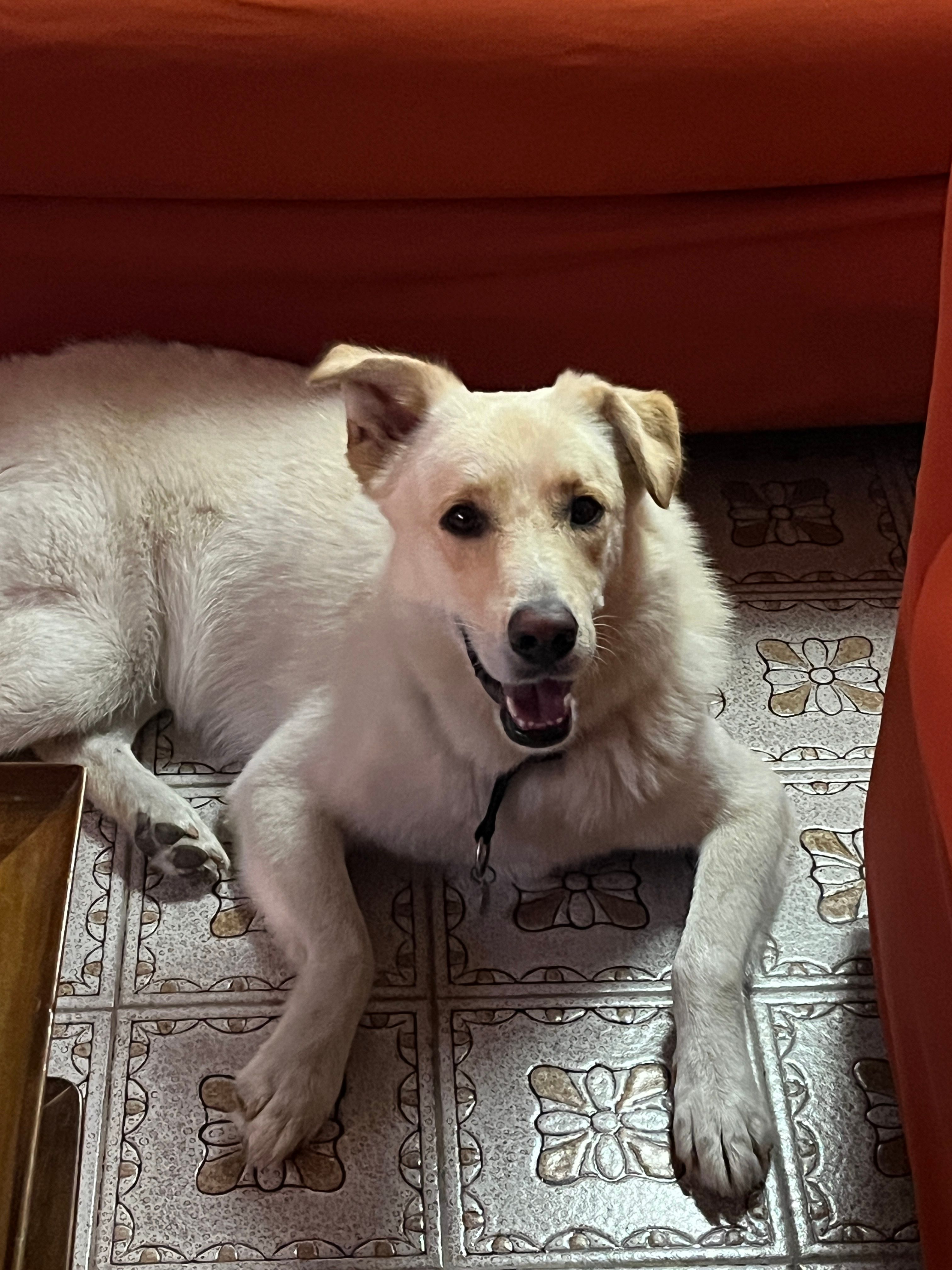 image-5