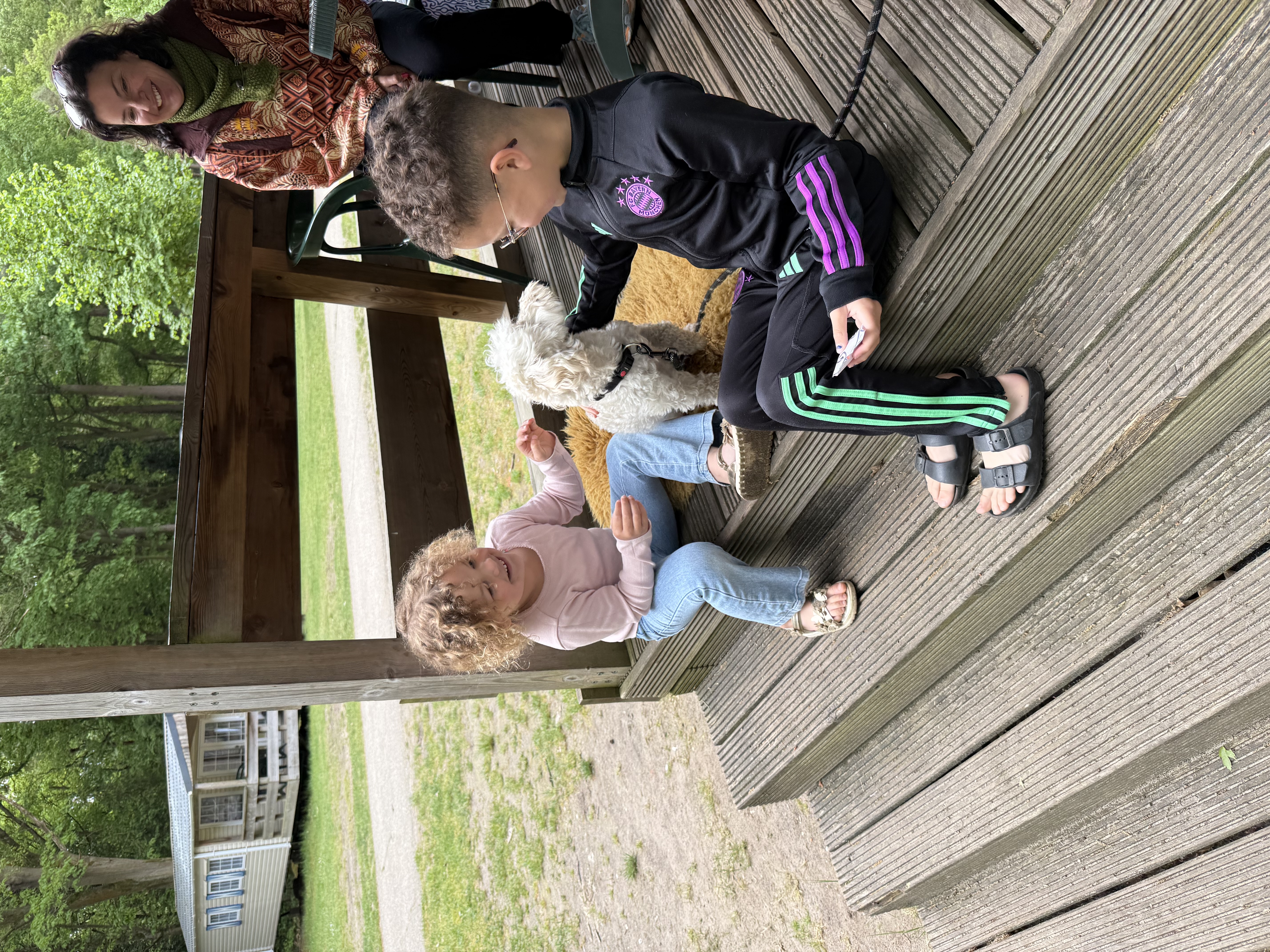 image-7