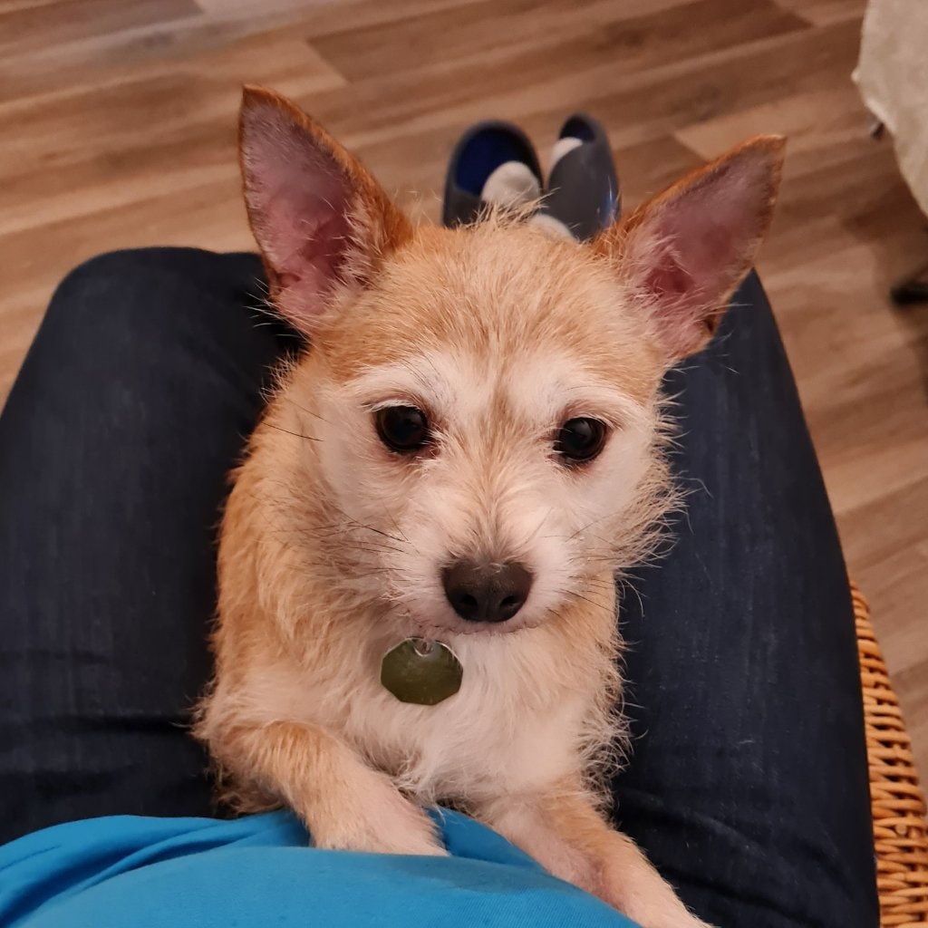 Ronja (Spitznamen Otto)