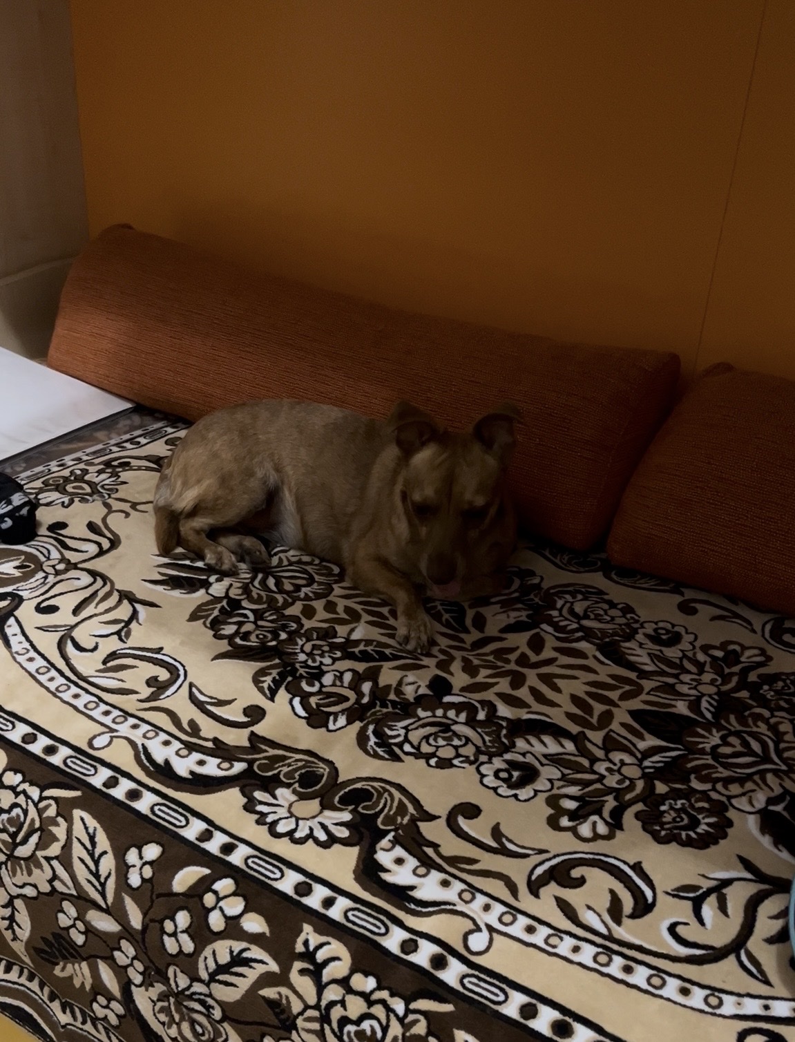 image-16