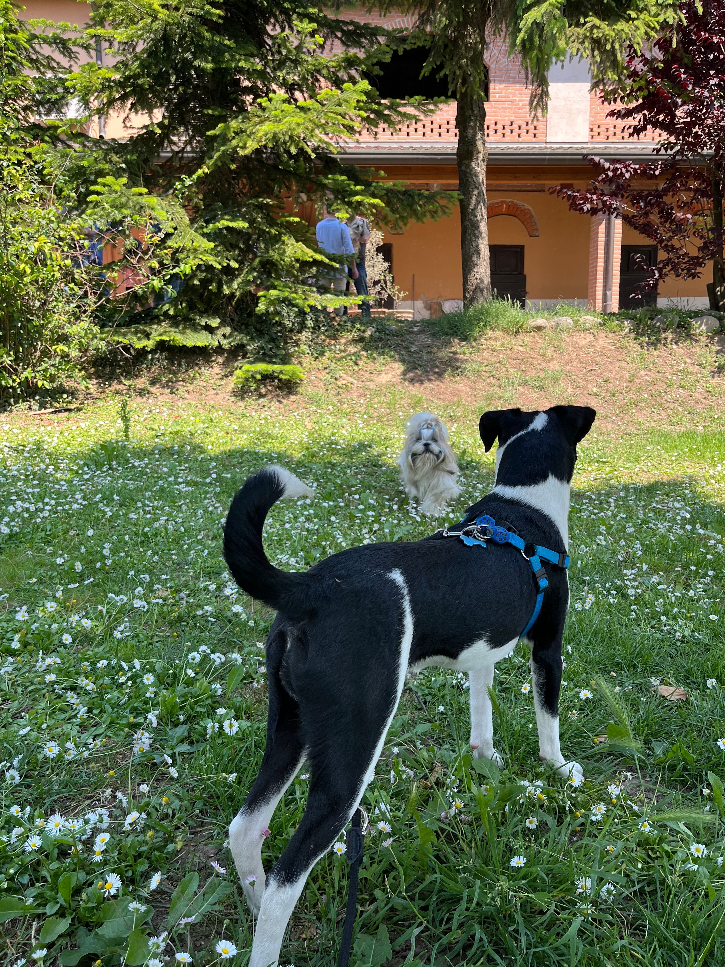 image-14