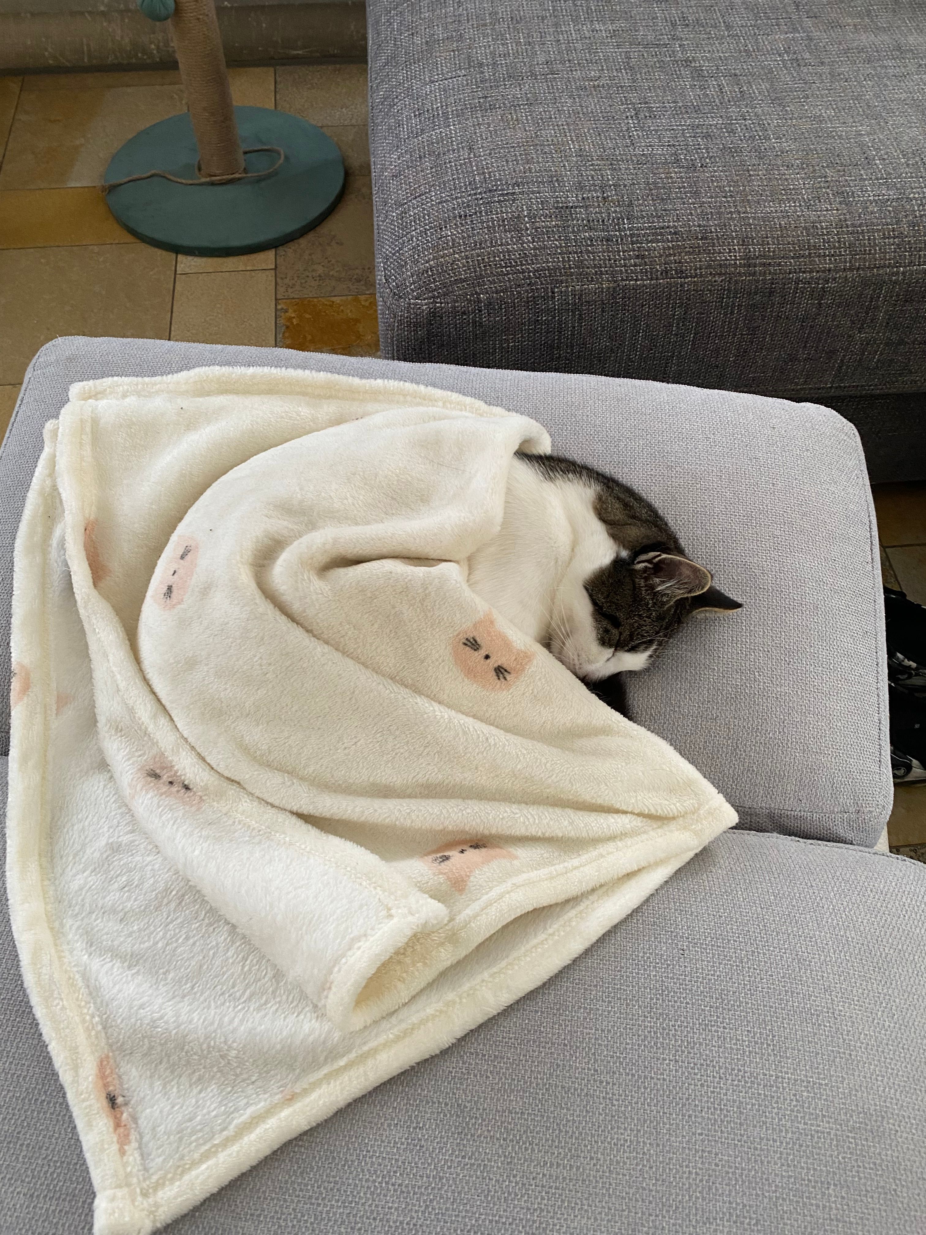 image-18