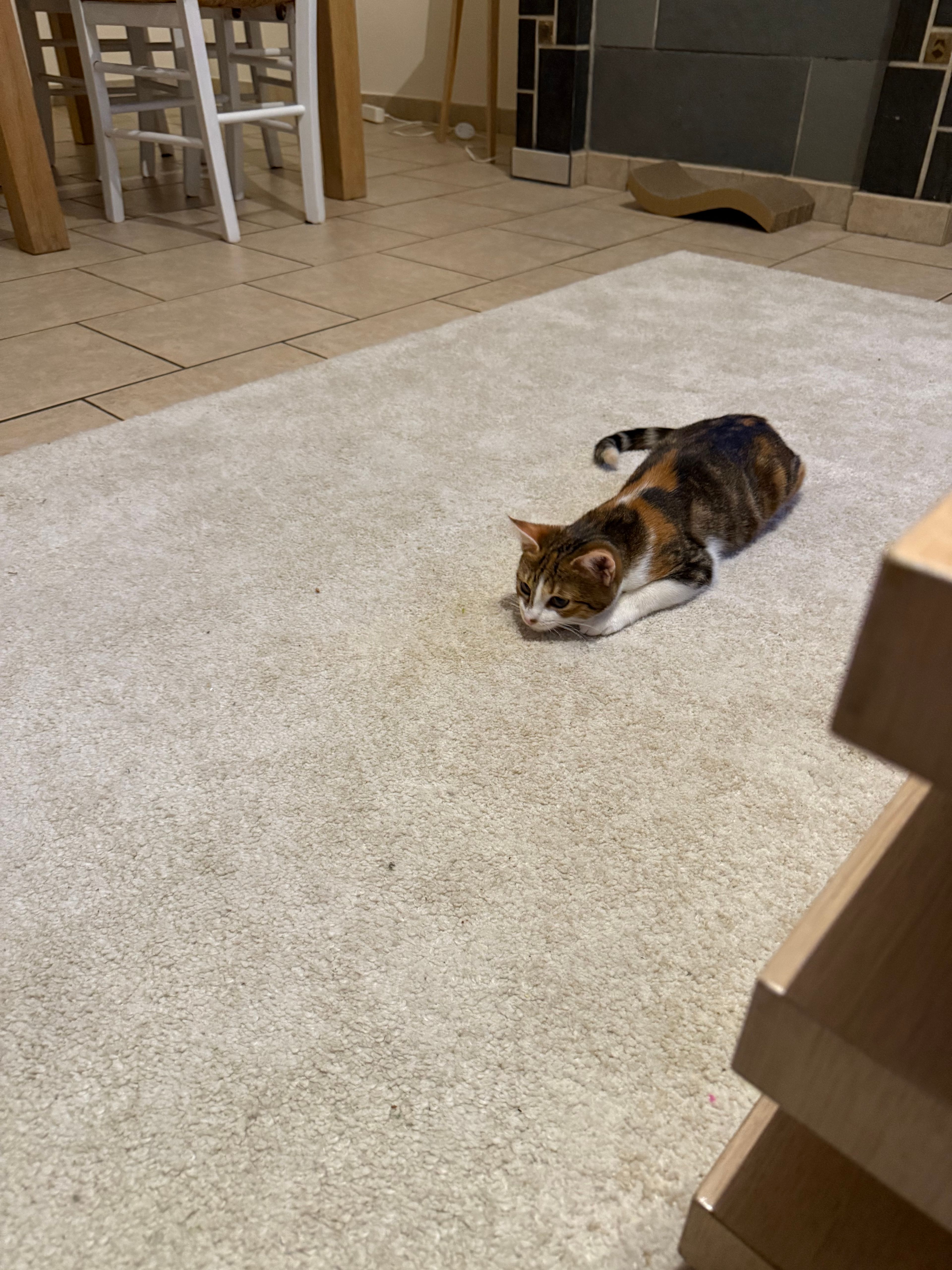 image-8