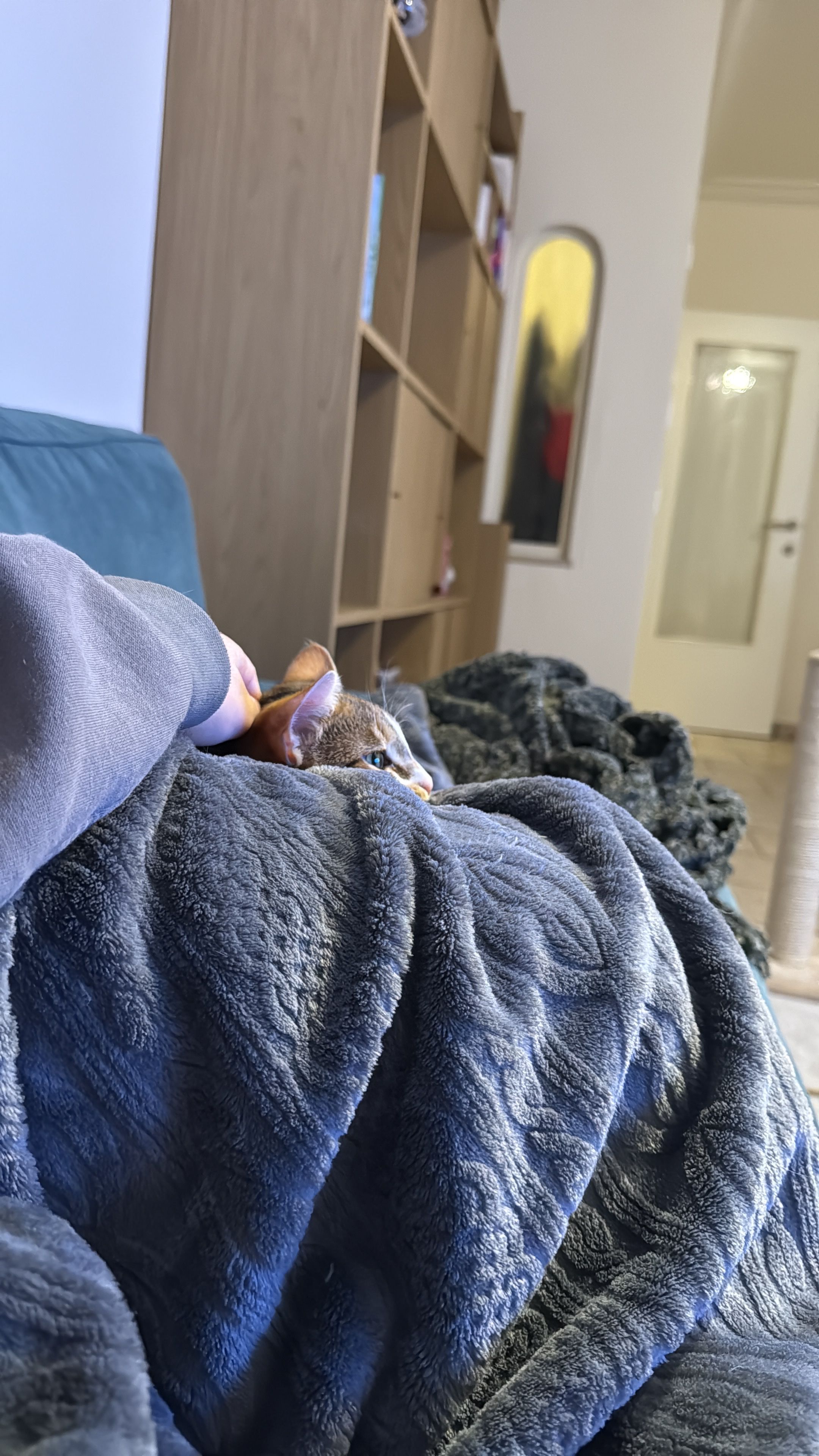 image-7
