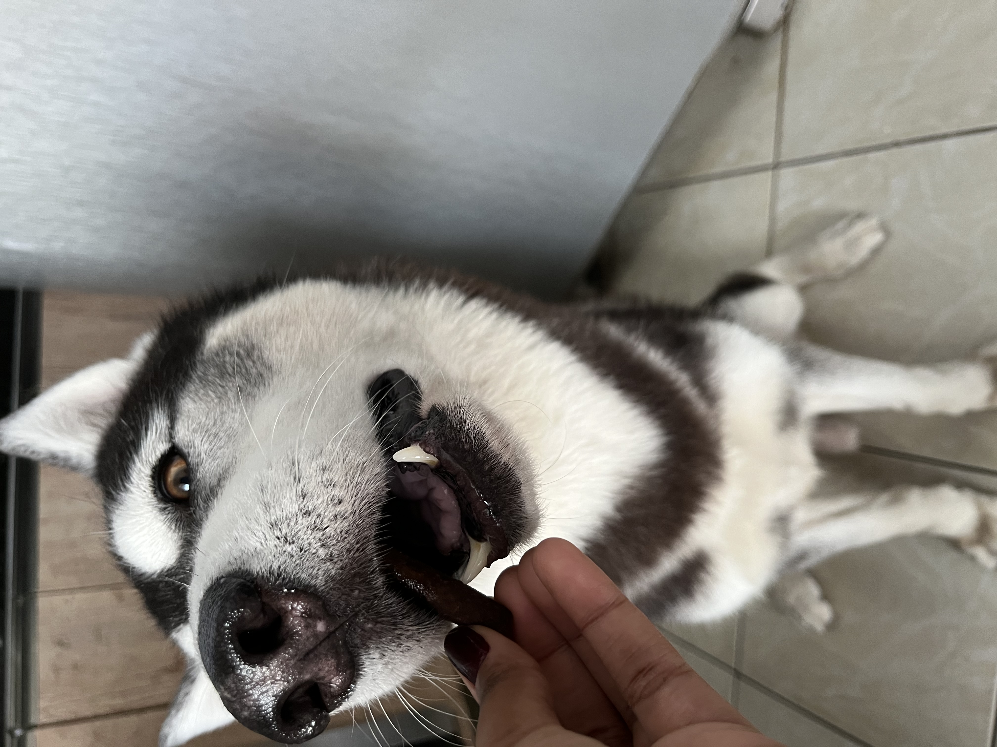 image-6
