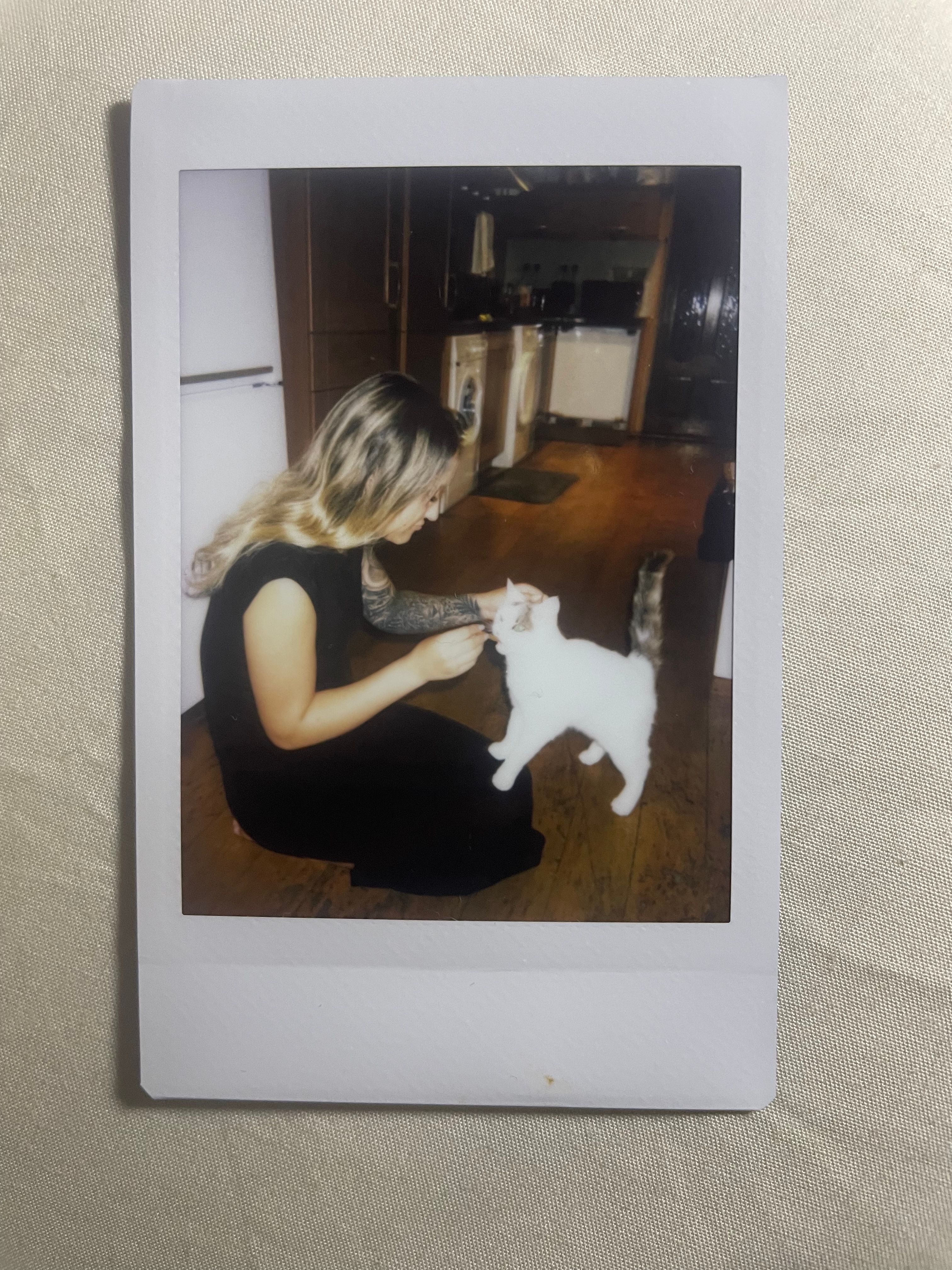 image-6
