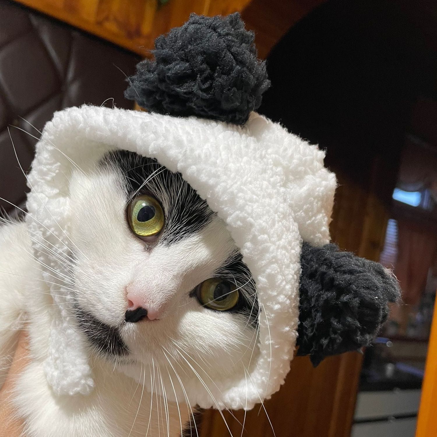 Mishka