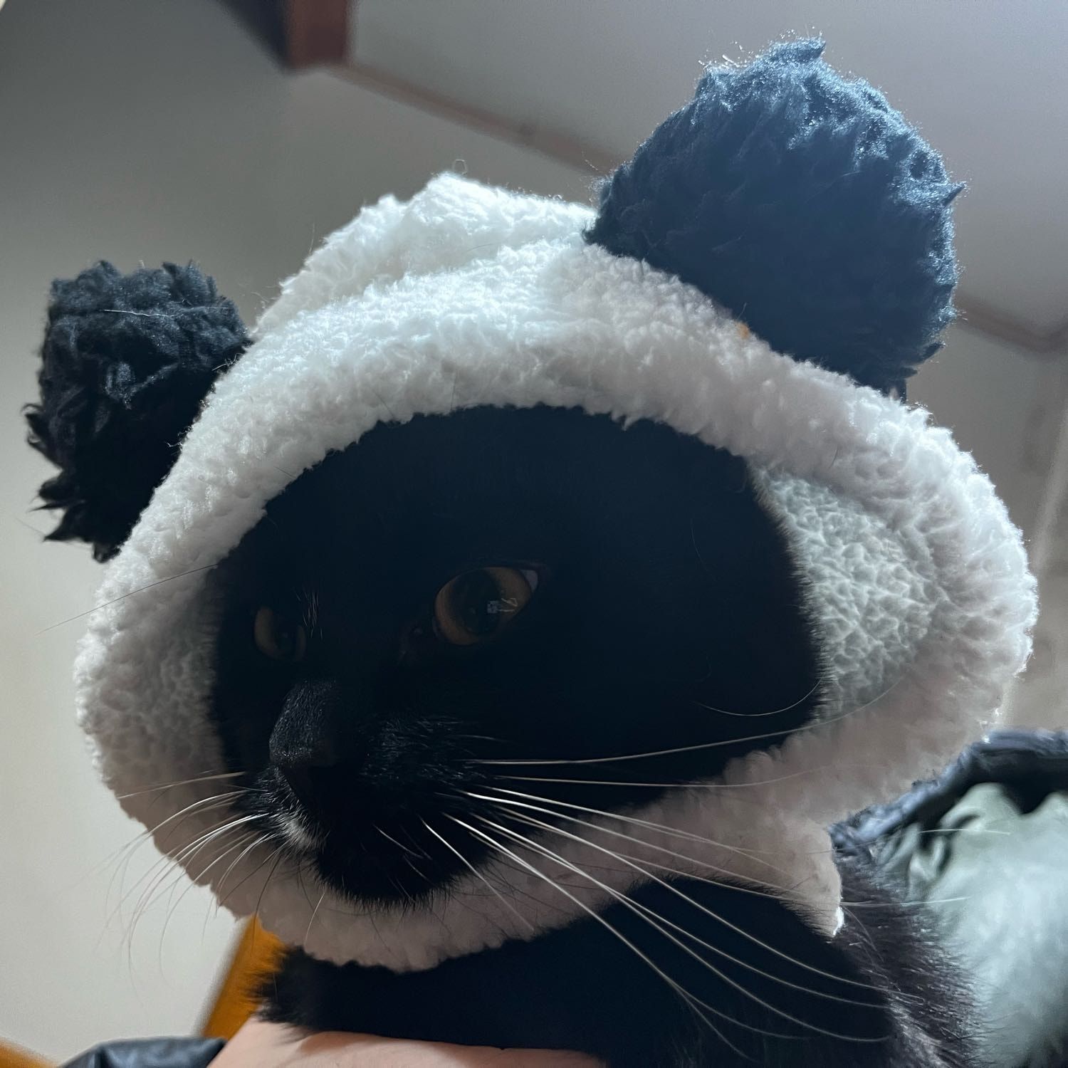 Milo