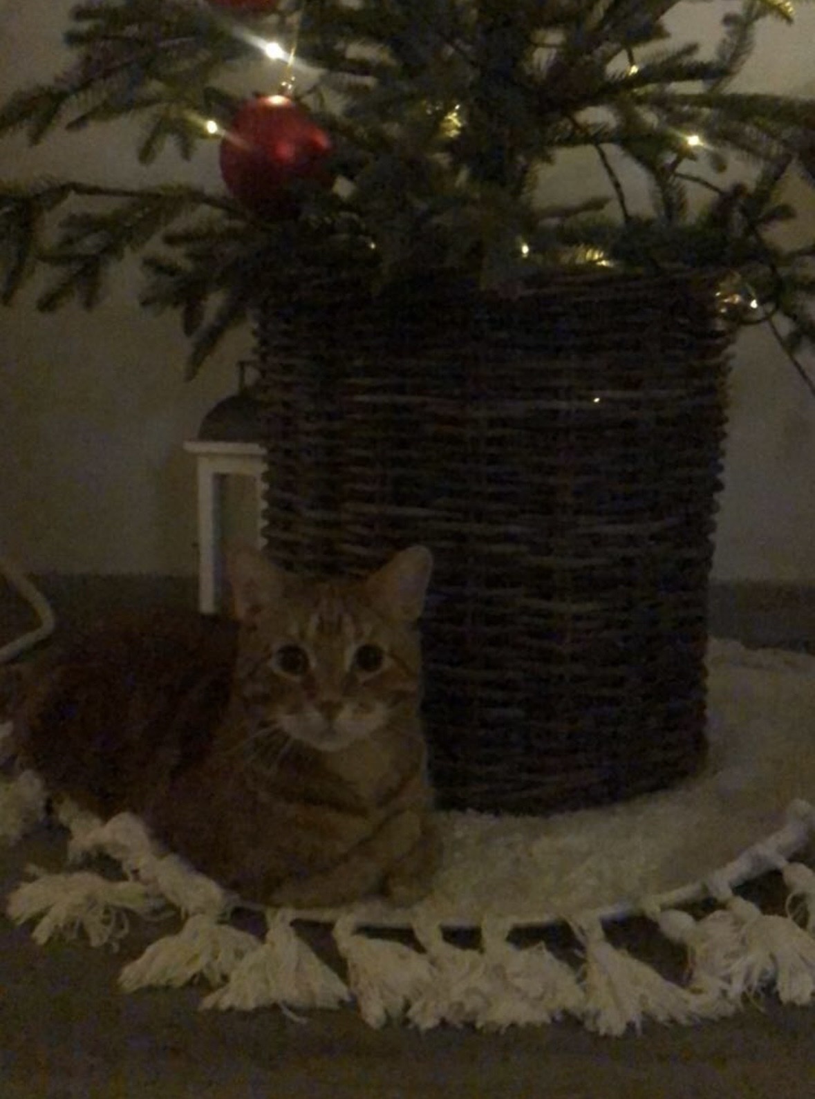 image-11