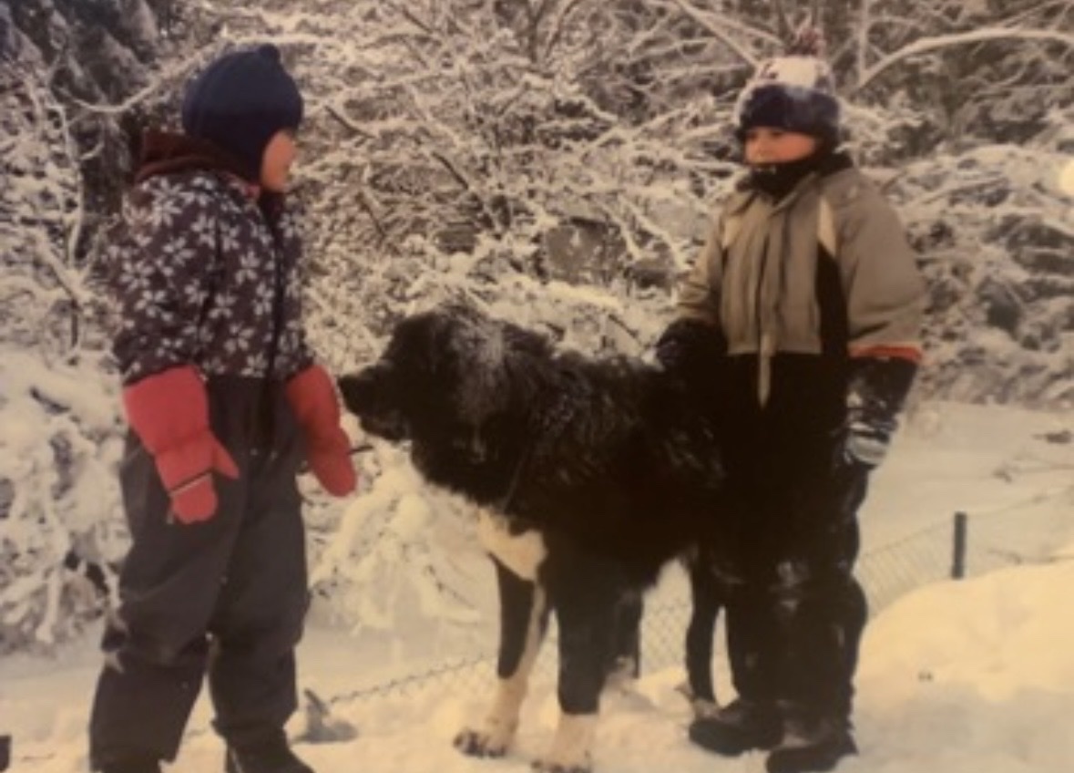 image-16