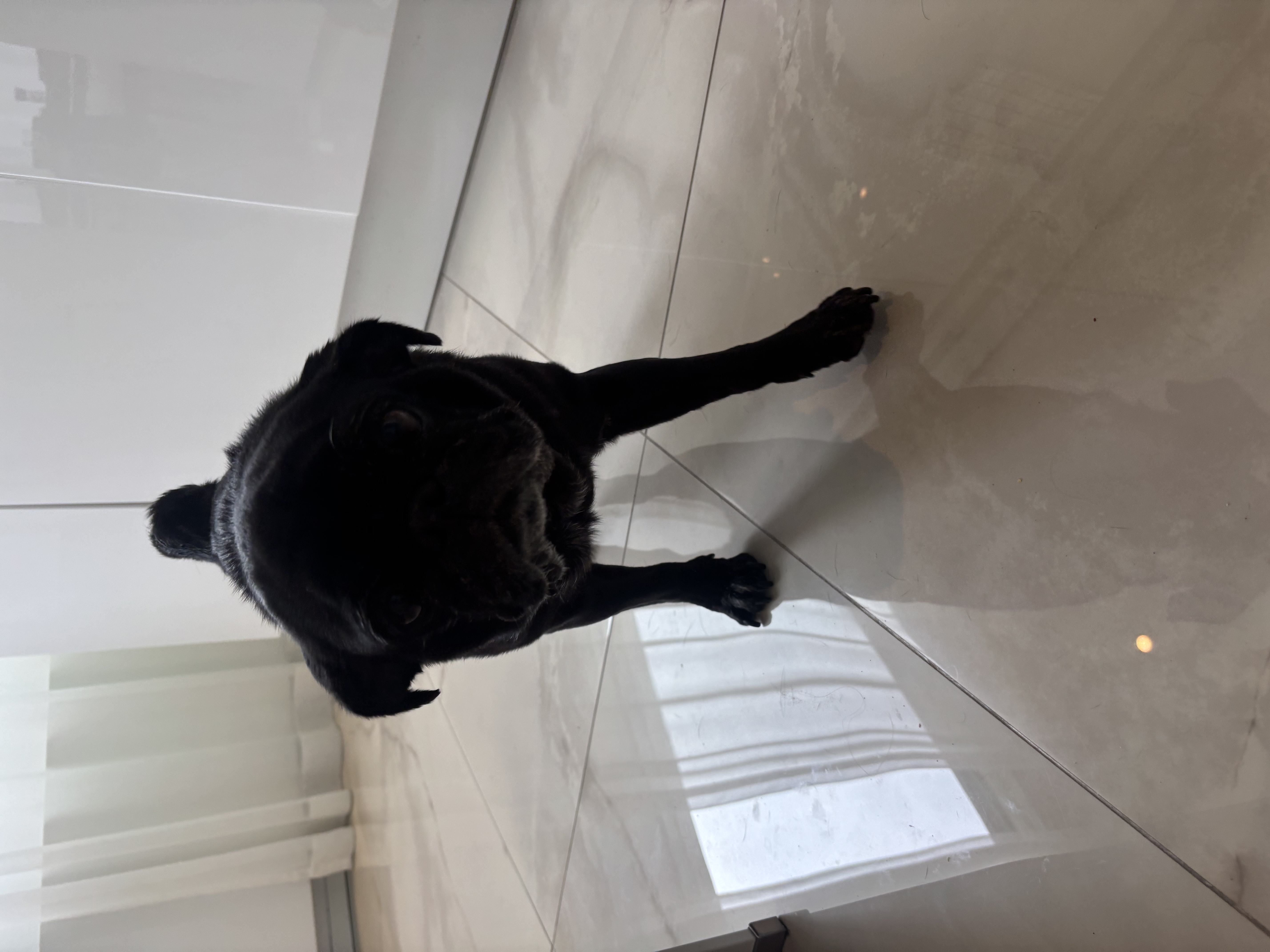 image-6