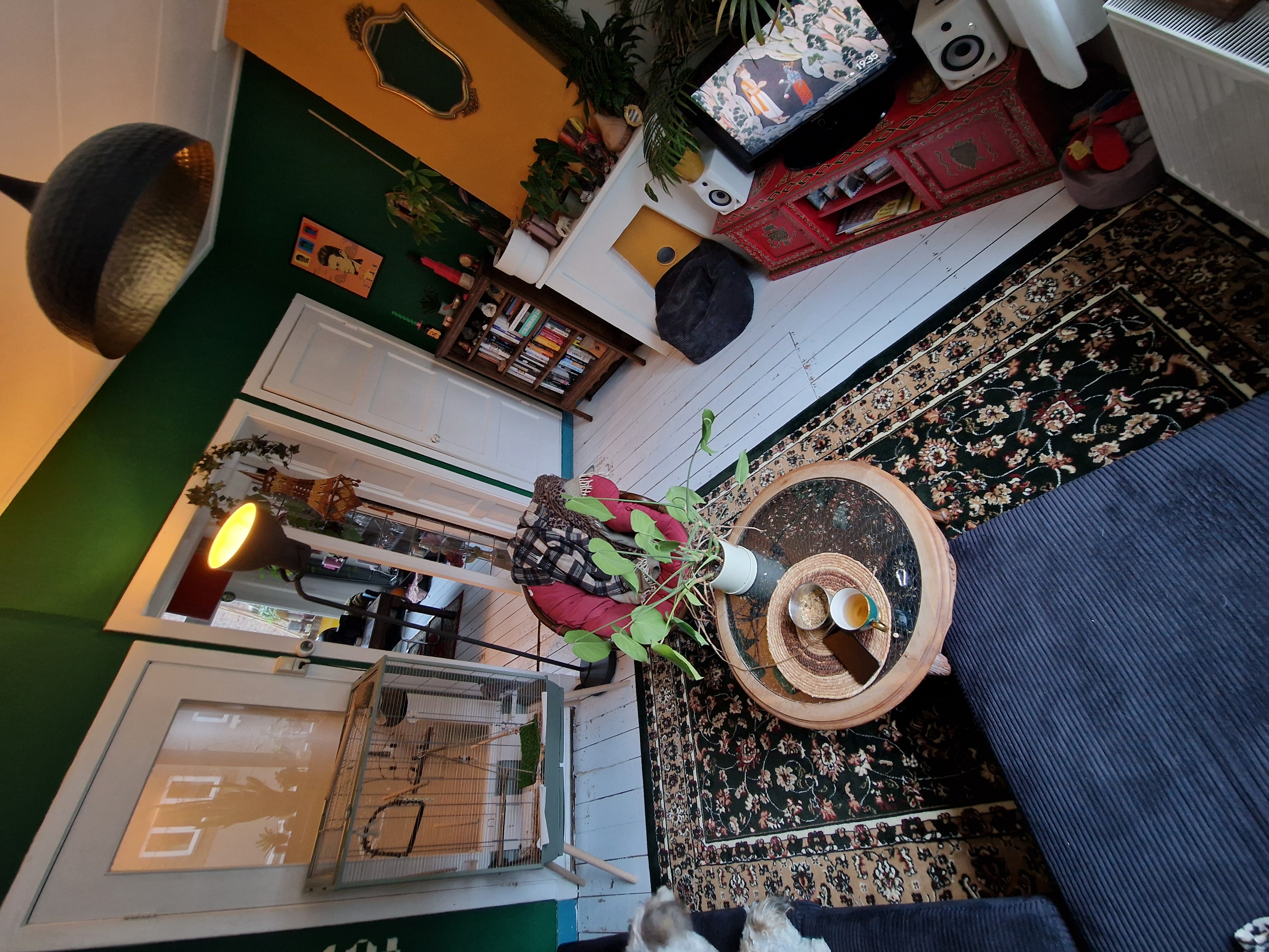 image-12