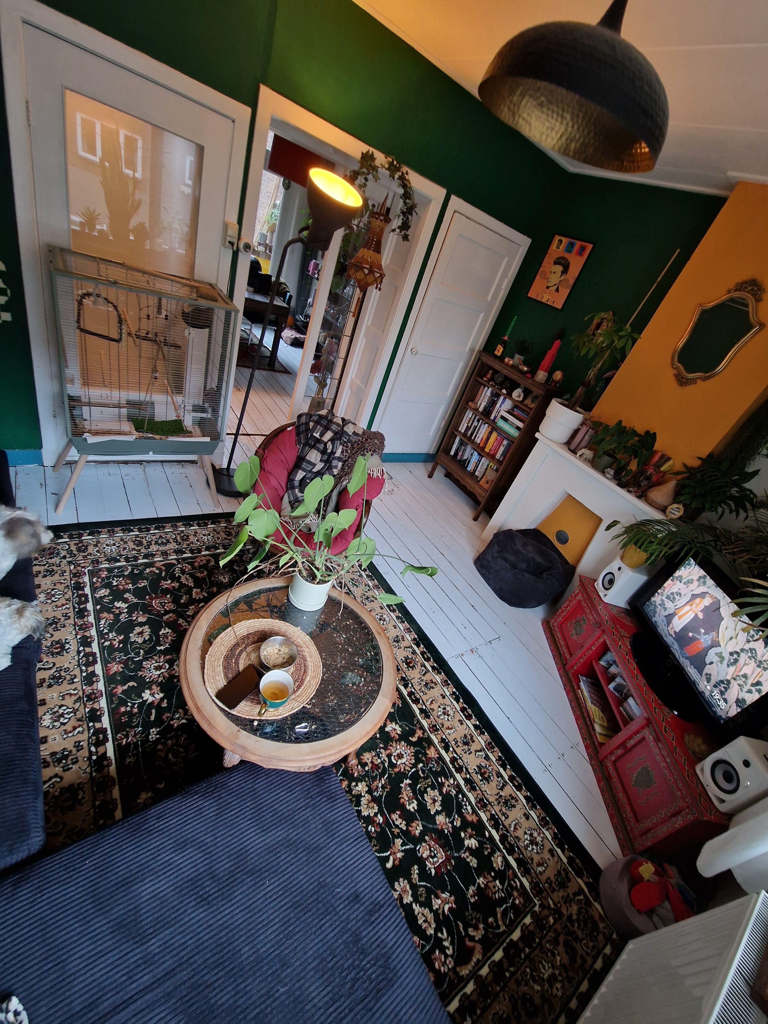 image-12