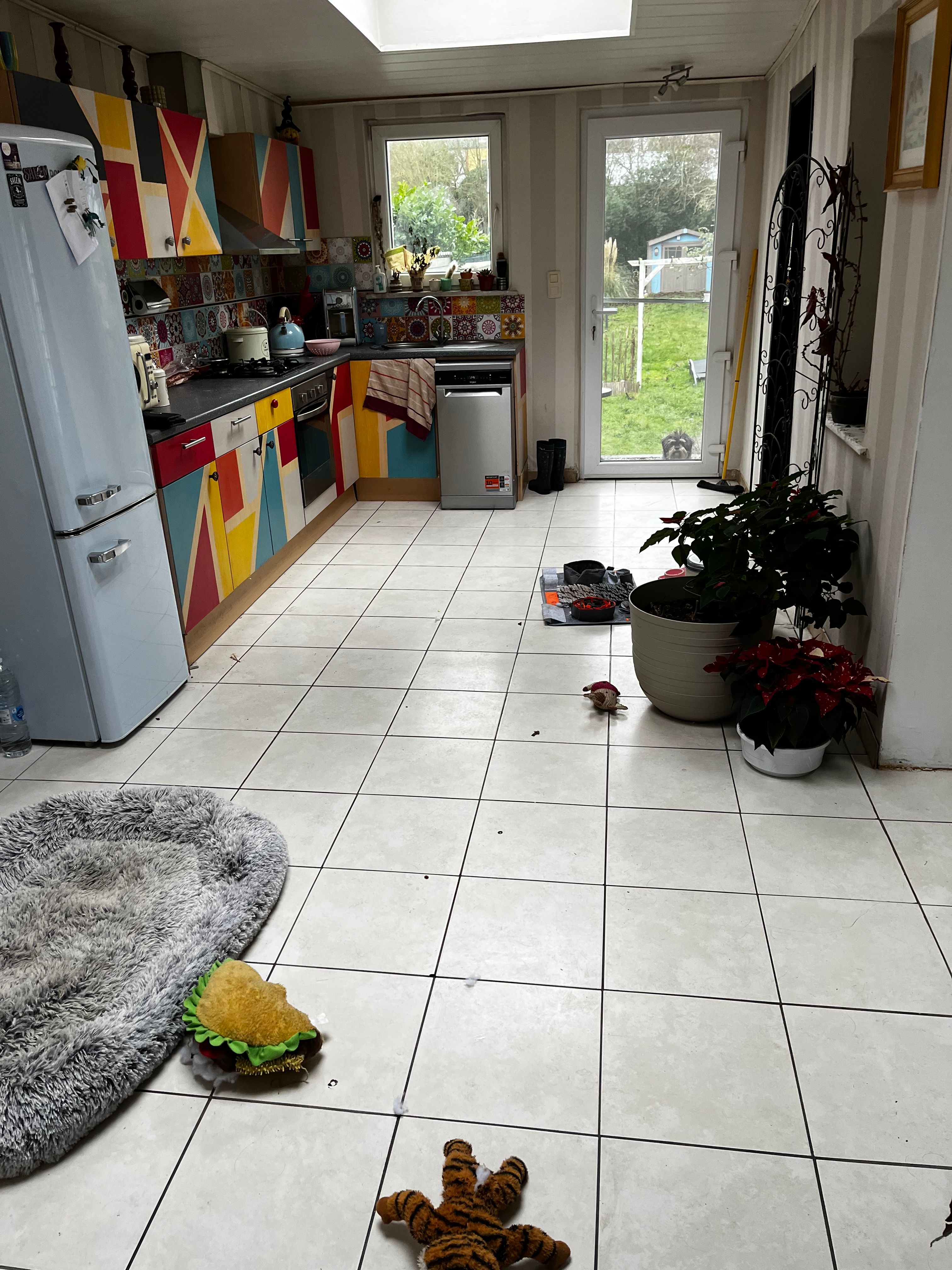 image-11